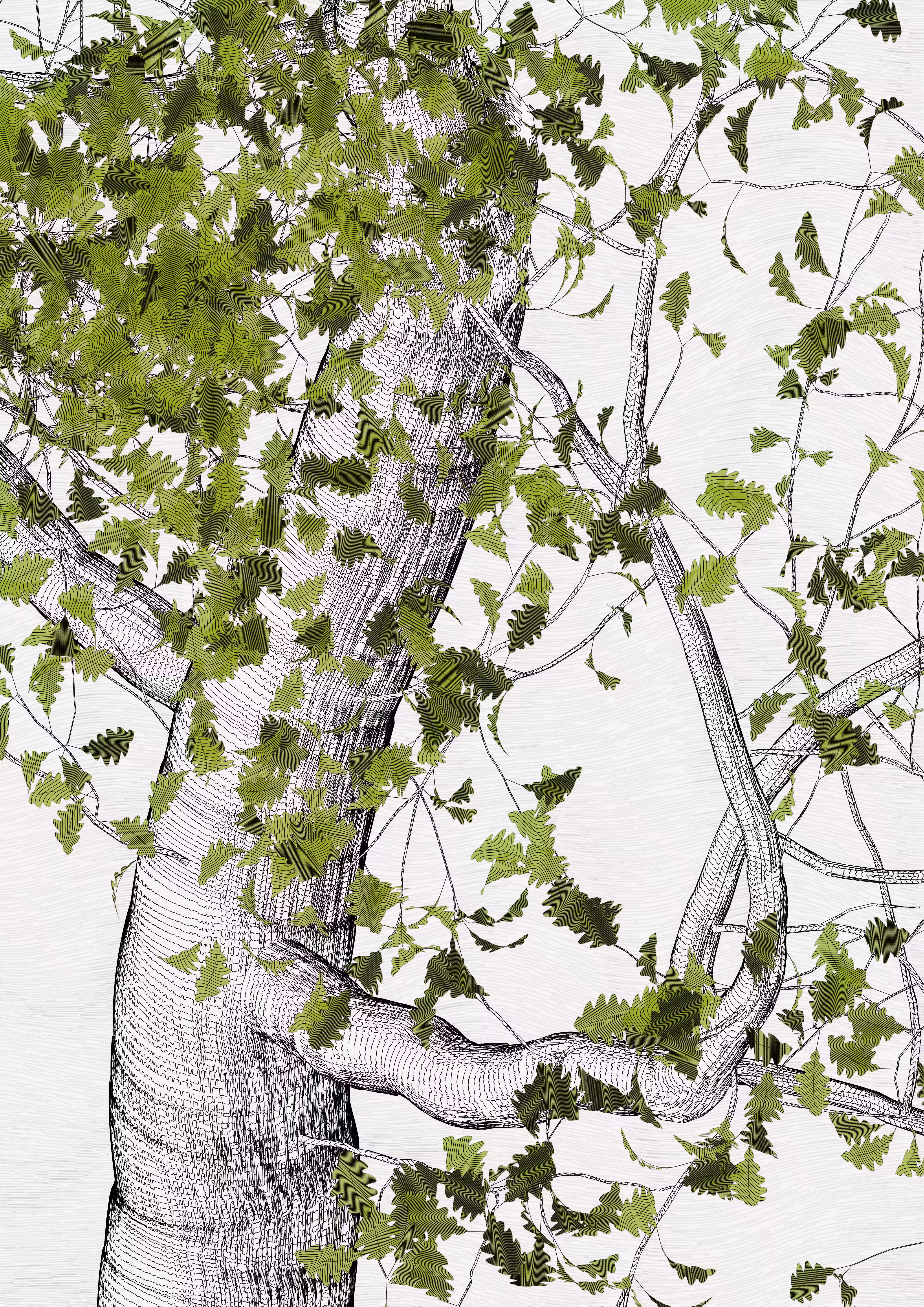 The Oak Tree part #0,0