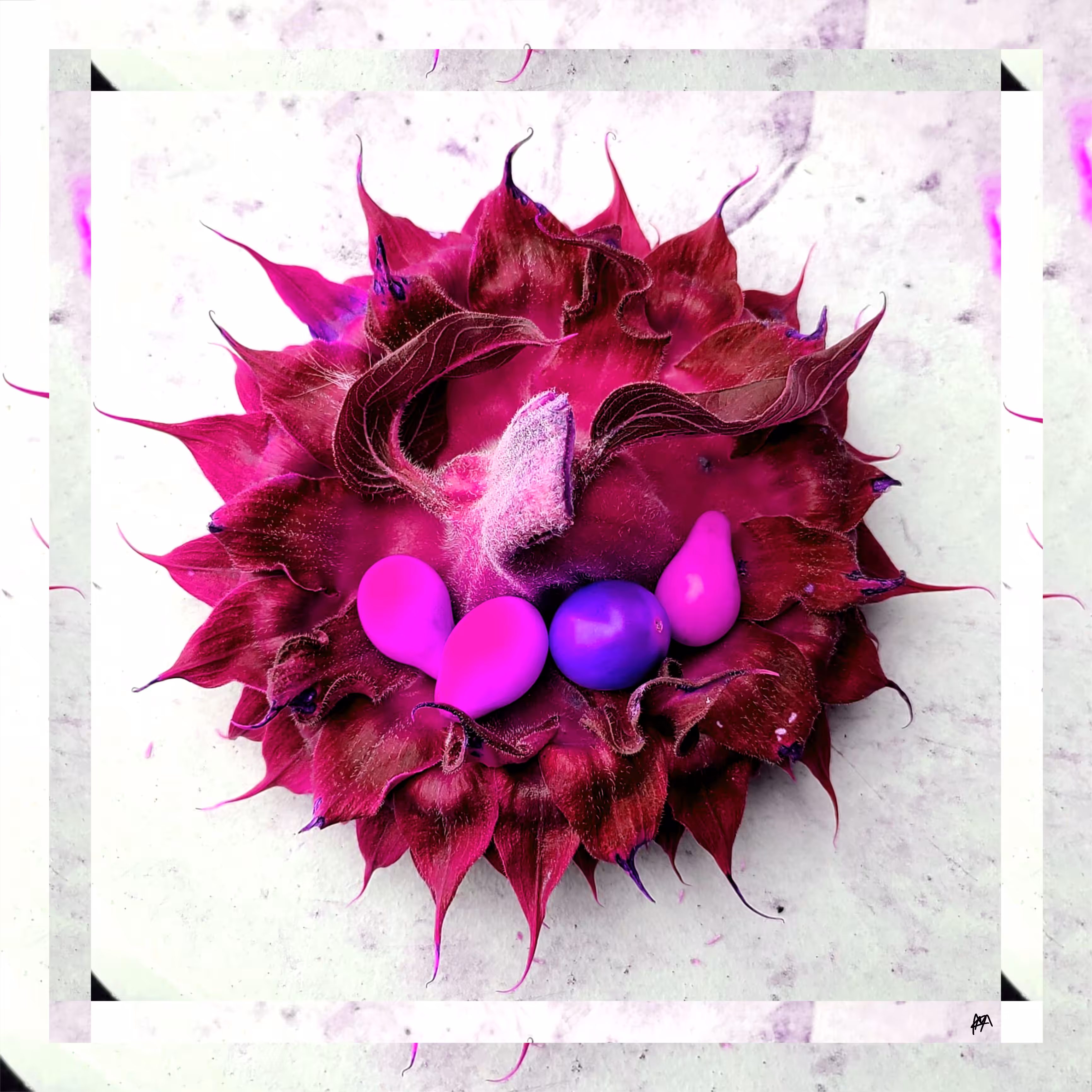 OLIVΞR
