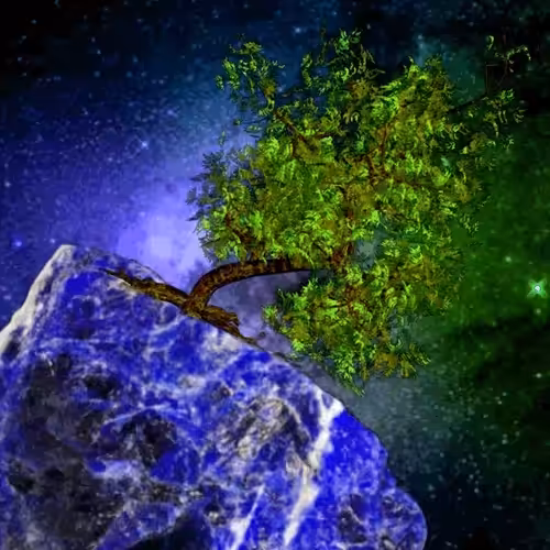 Tree #10