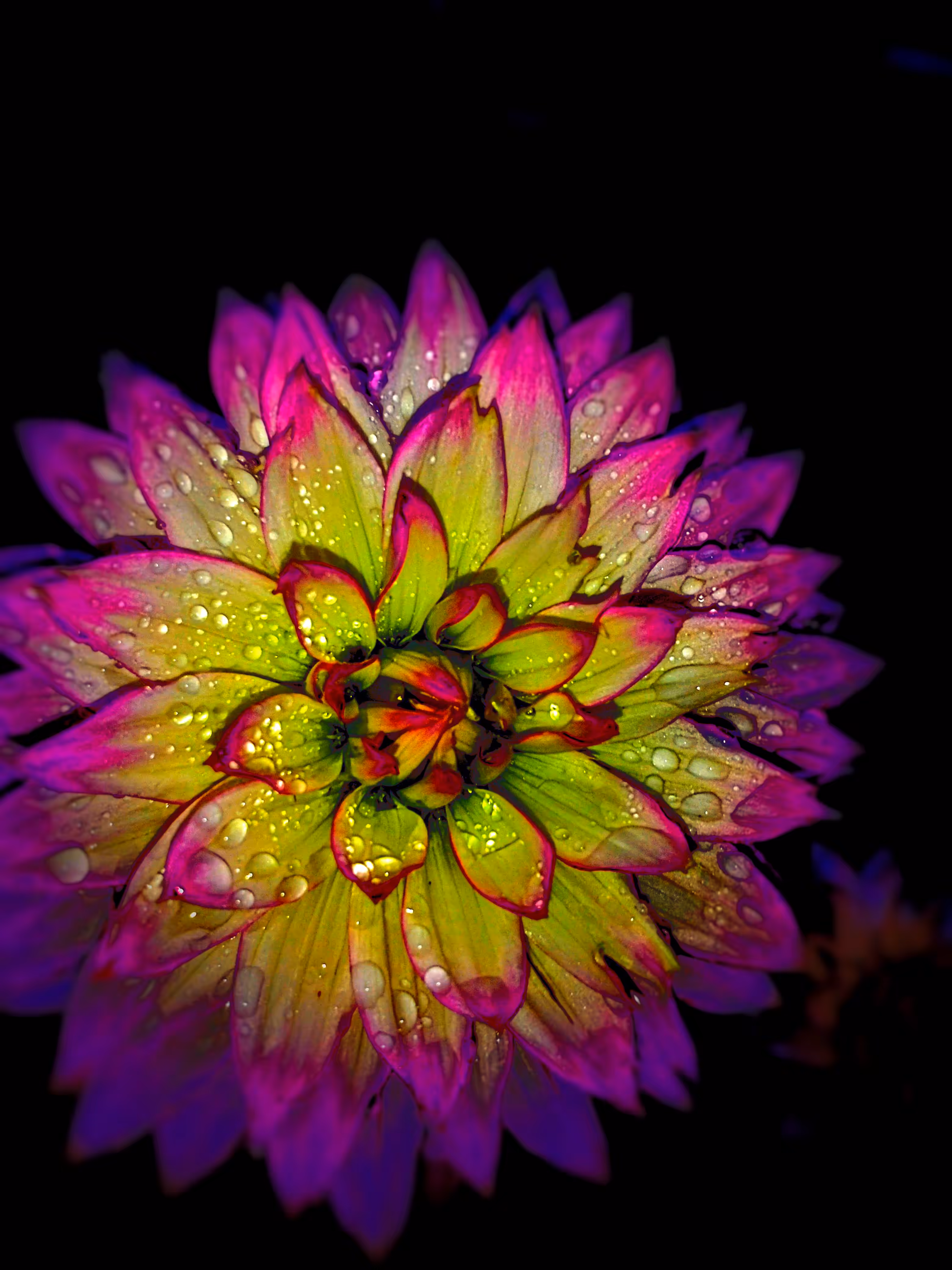 Dawn Awakening 