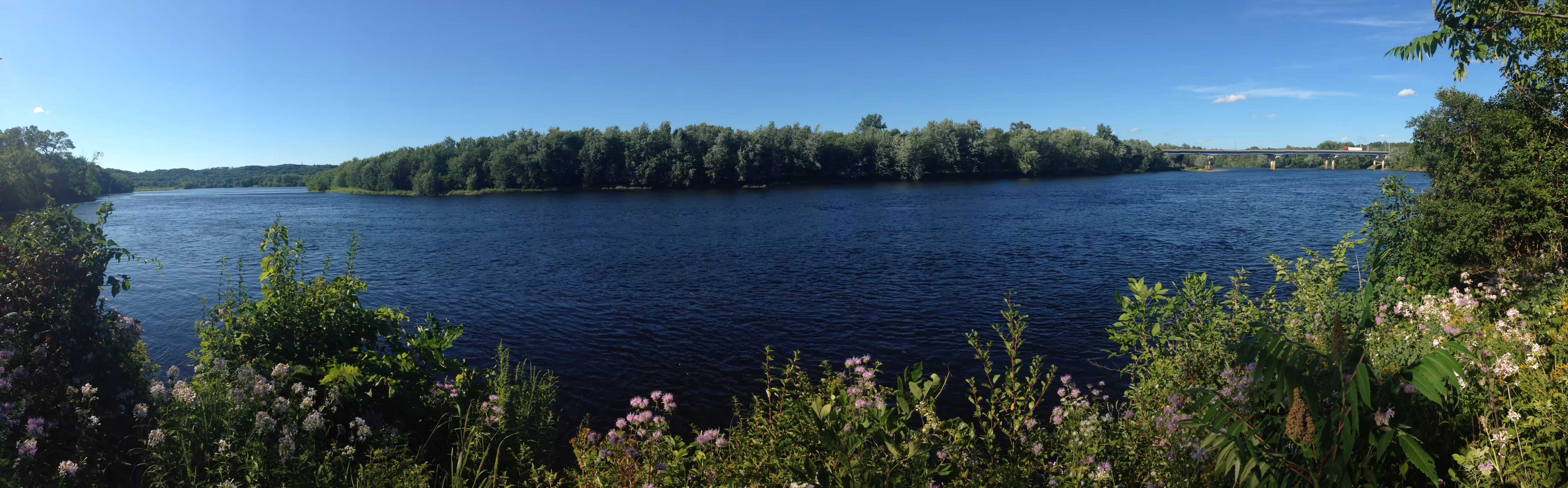 Down by the River