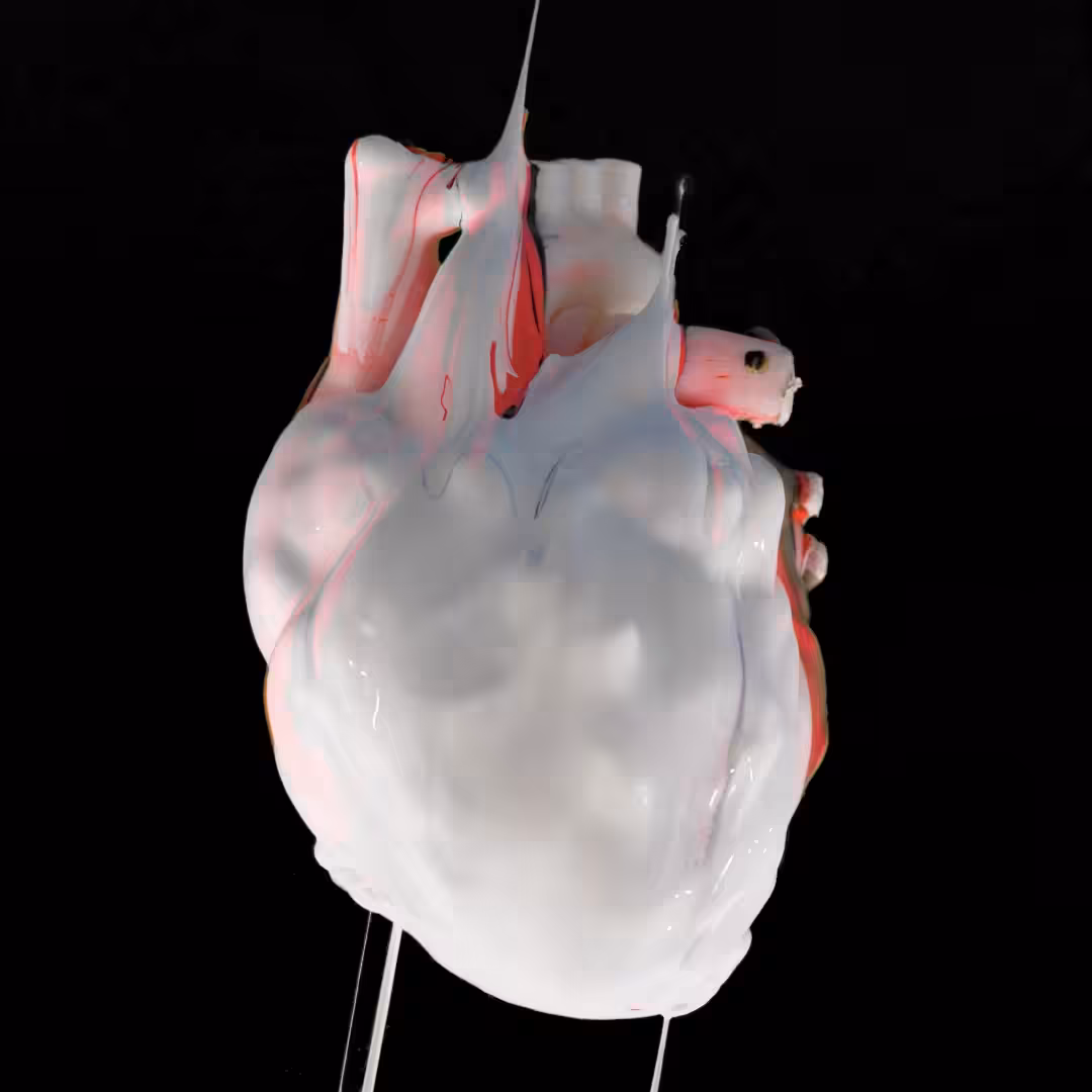 Analog Heart