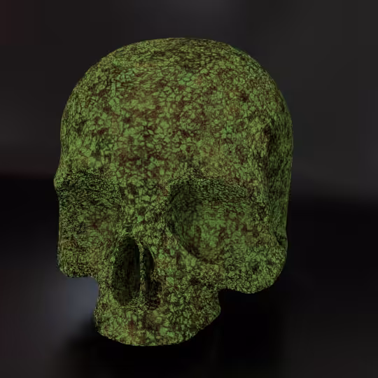 SkullZ #205