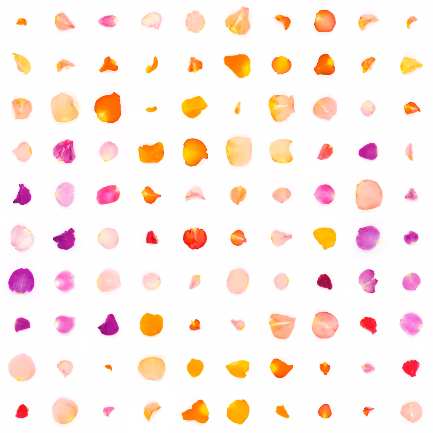 Infinite Petals 10x10#1719