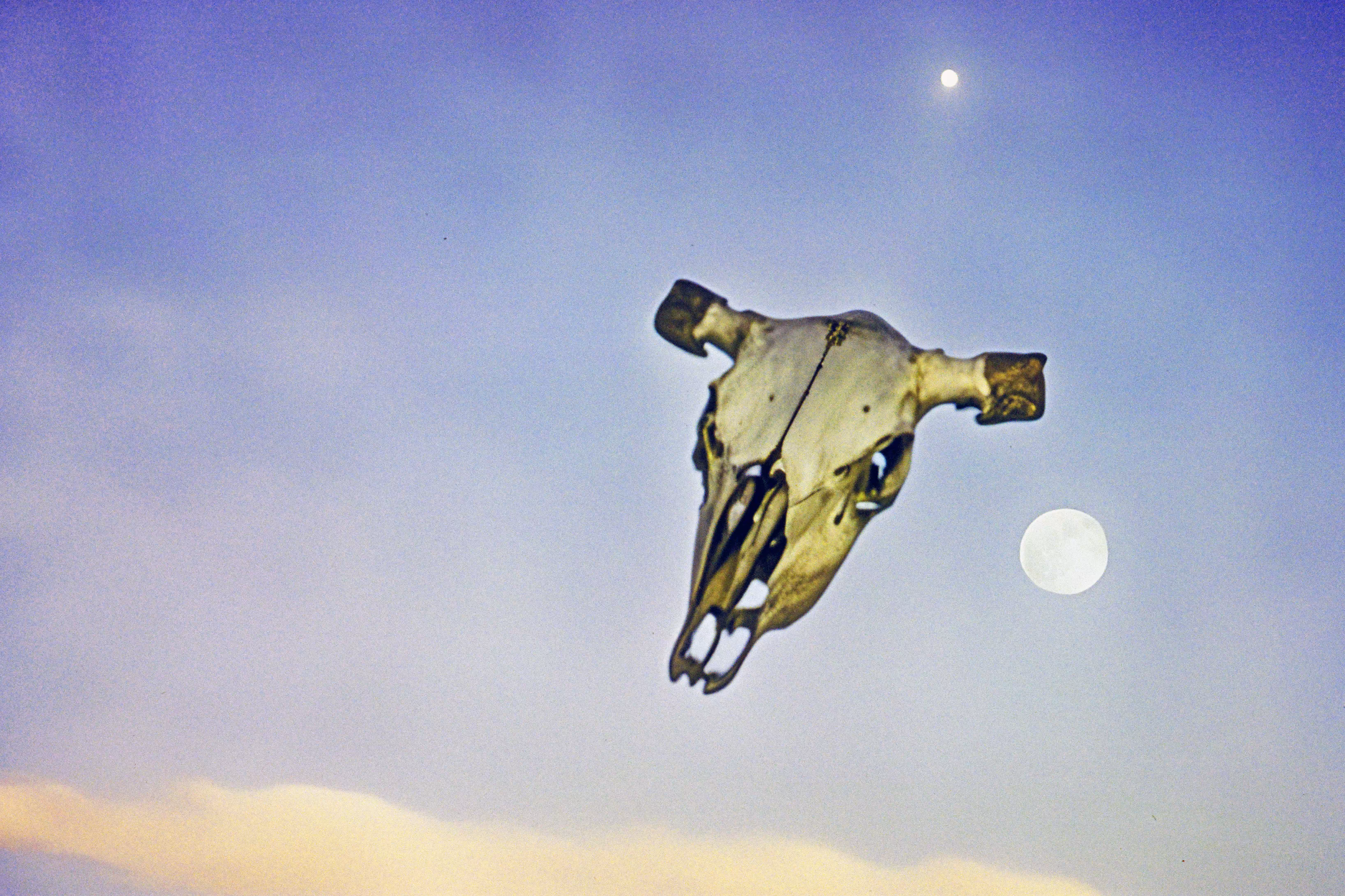Vanishing Of The Genuine: Skull Moon