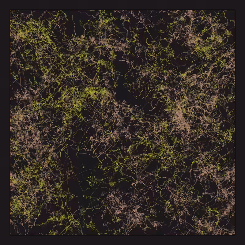 organico 01 #102