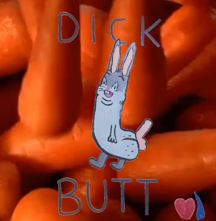 🐇DICK BUTT🐇