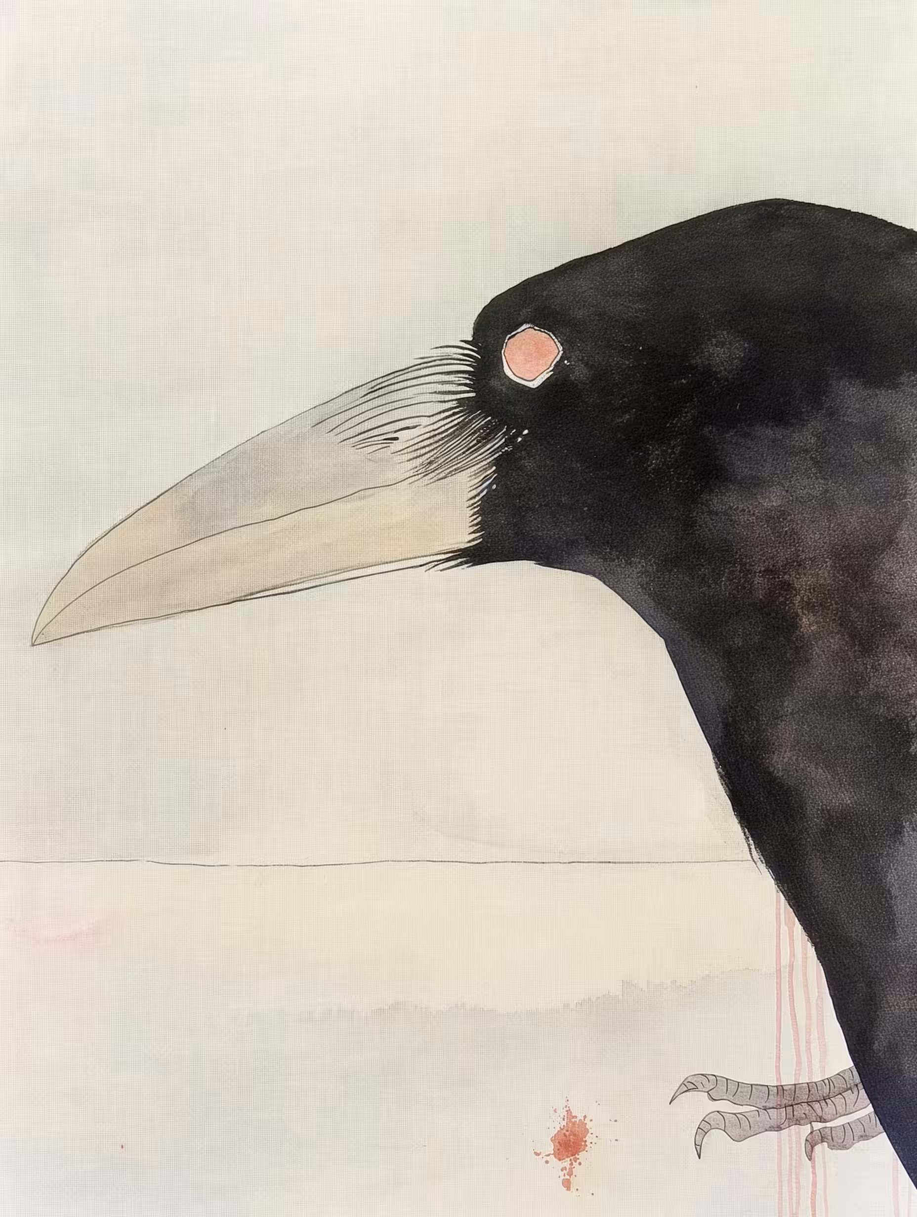 Raven