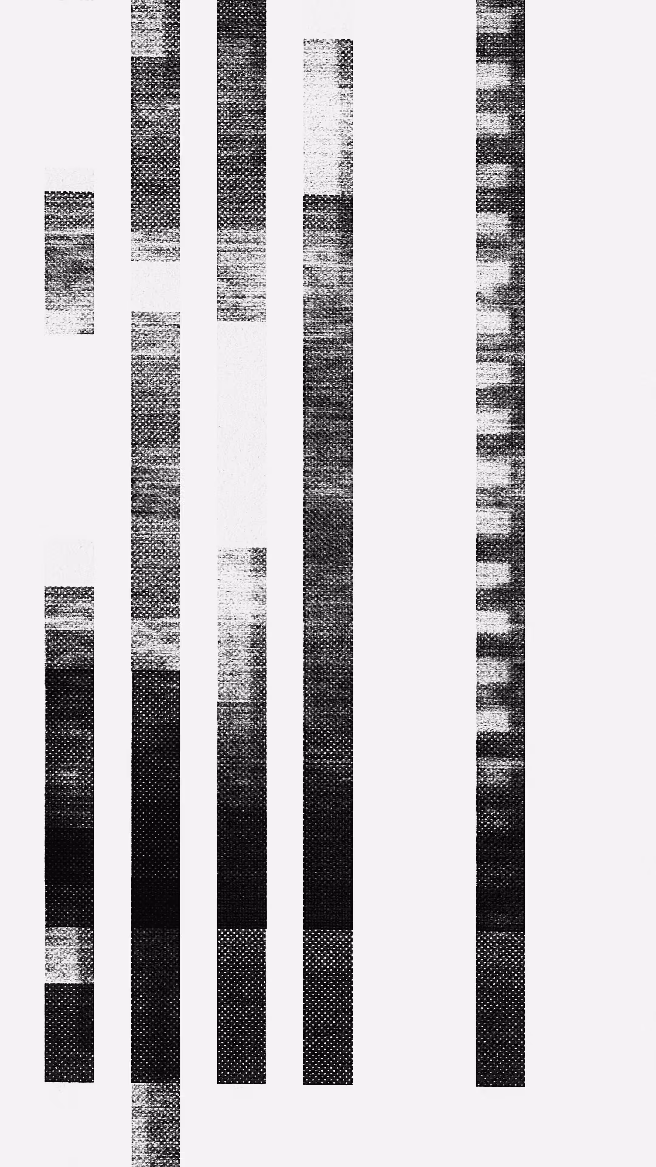 Vauhtiraita 08
