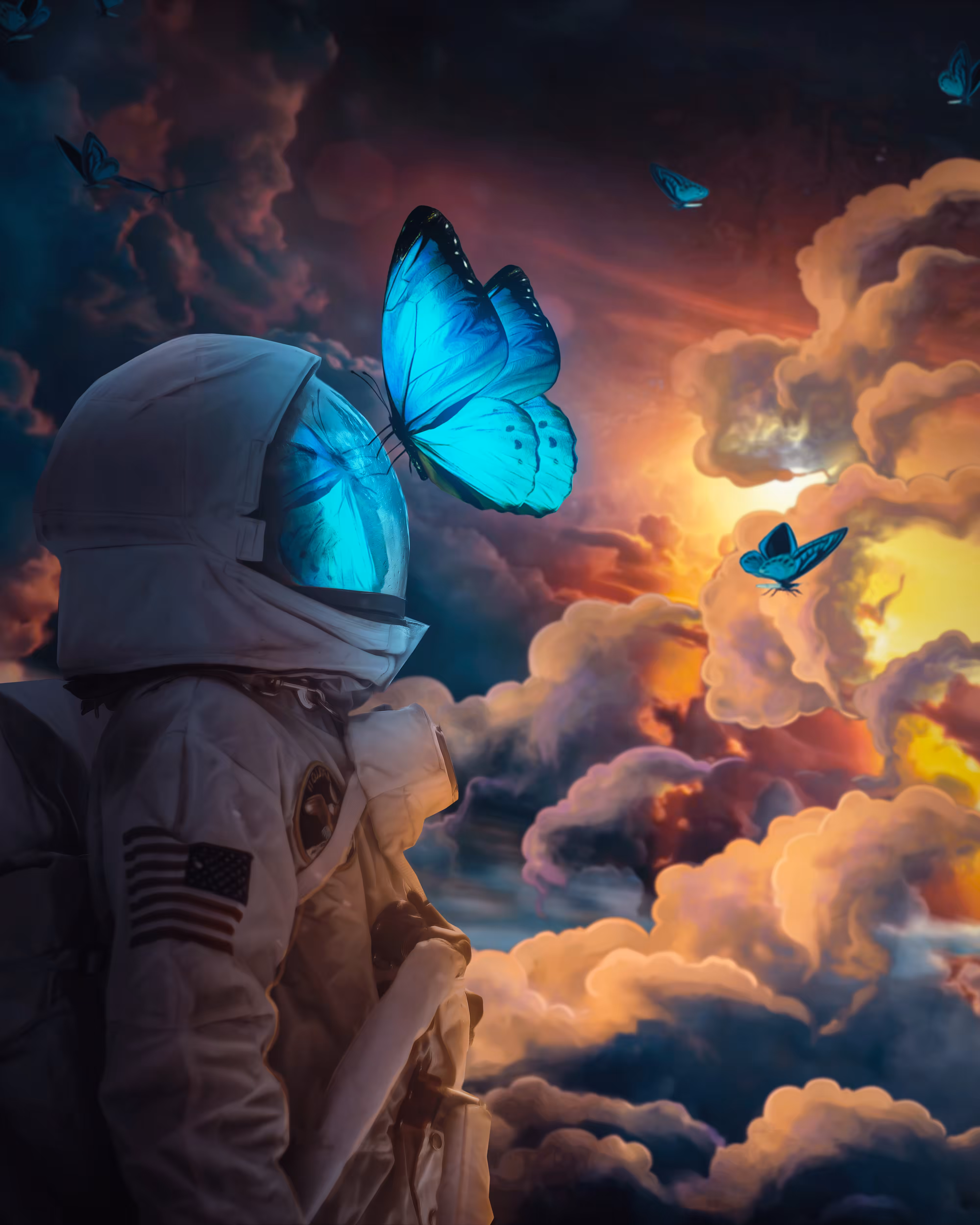 The Social Butterfly