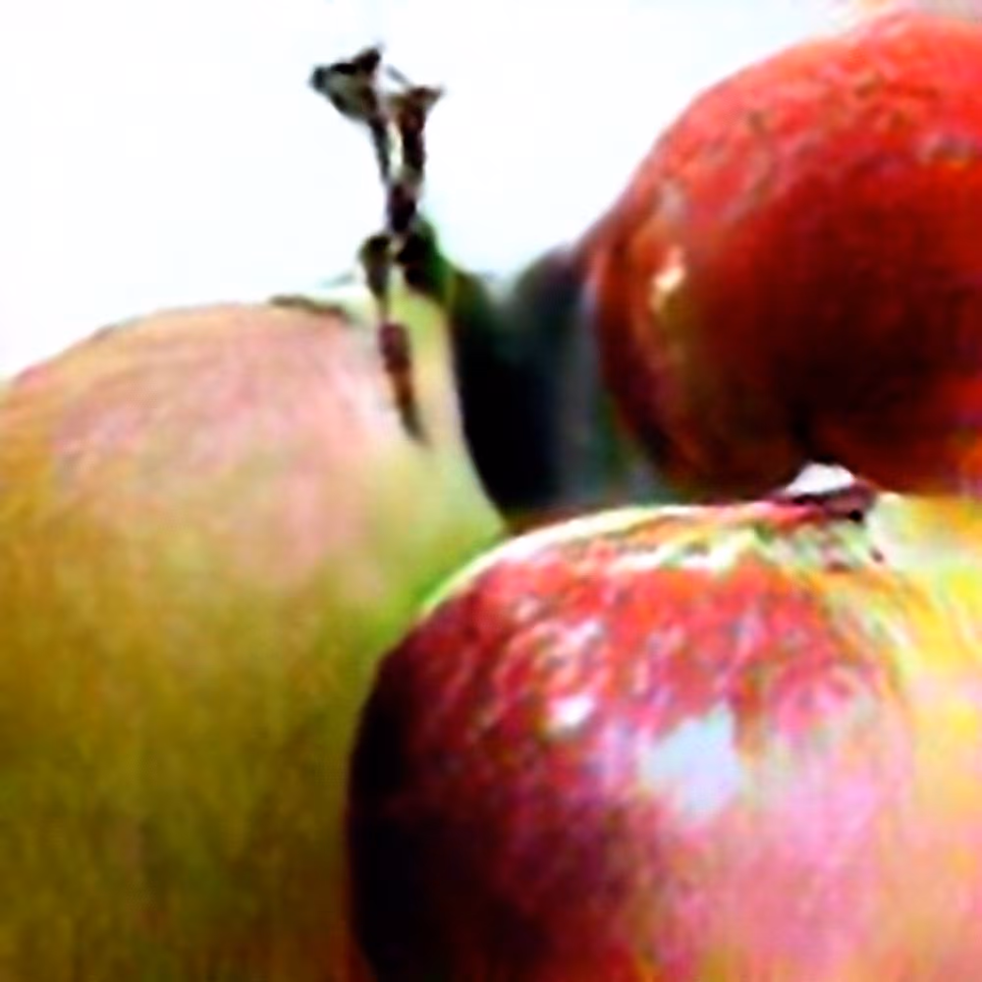 Apple #5 (Corpus: Still Life Objects of the Renaissance)