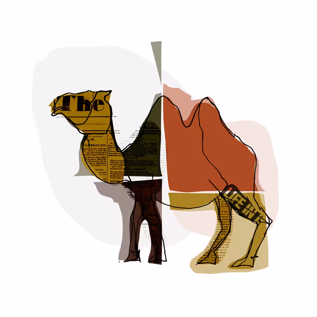 Camel