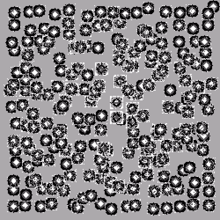 EXPLOR ala Boxes #40