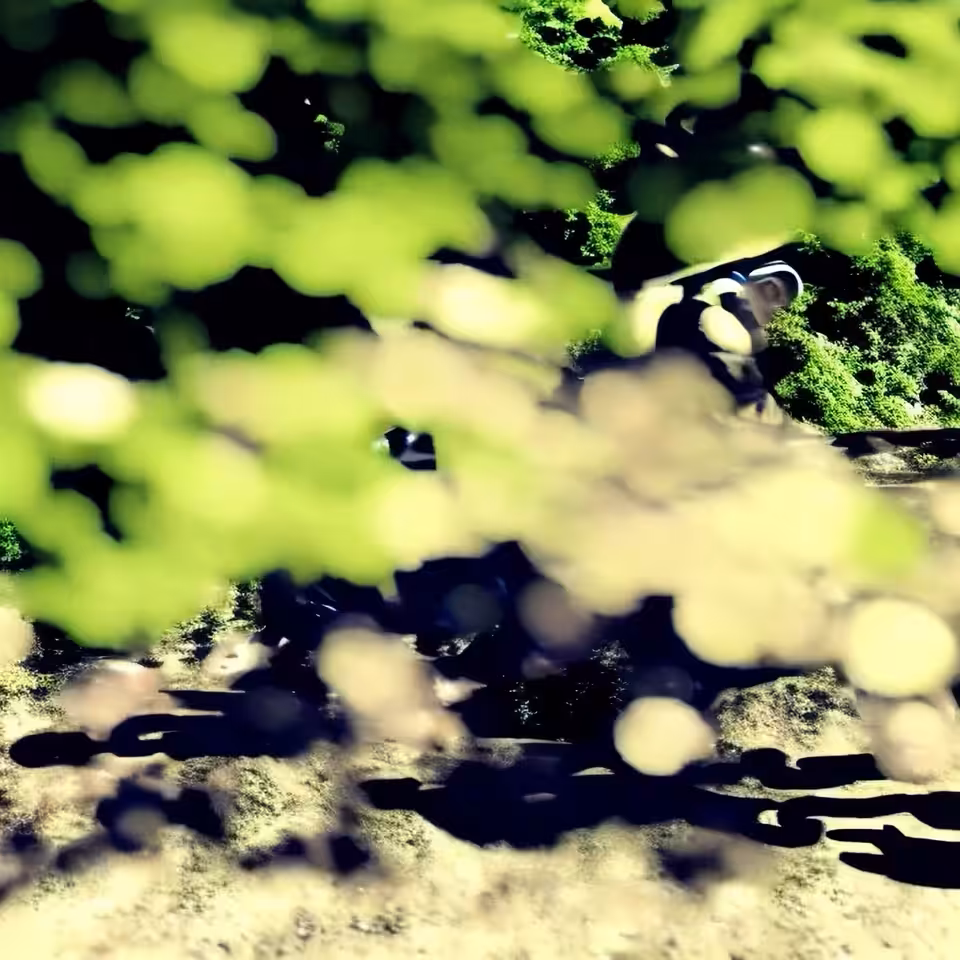 A Rider on a Blue Motorcycle in the Forest #1