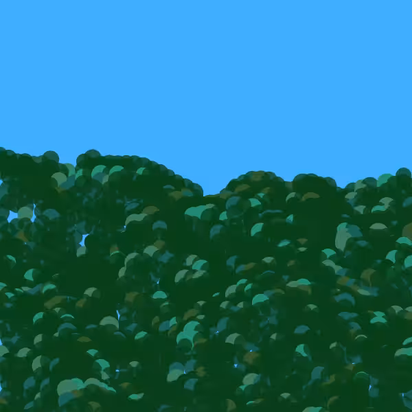Yang Ming Mountain study#1 #9