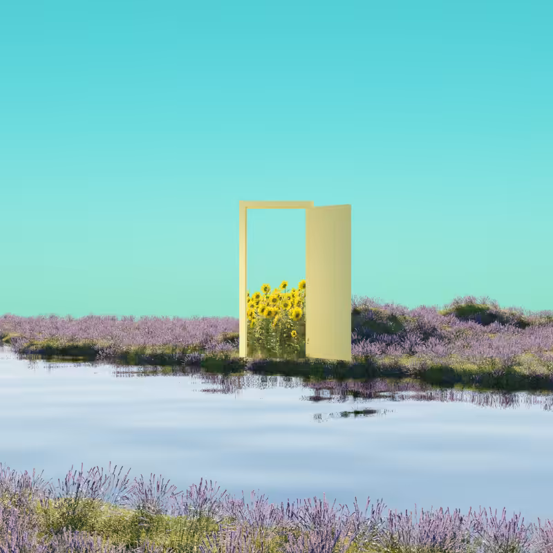 The Door #11
