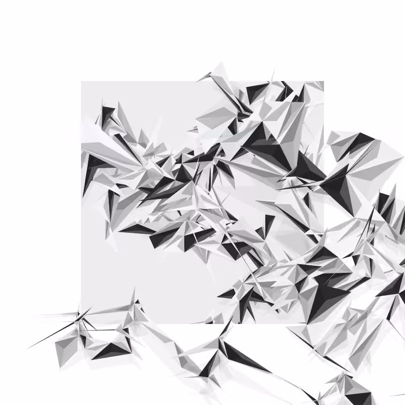 Paradise Birds Generative Series #55