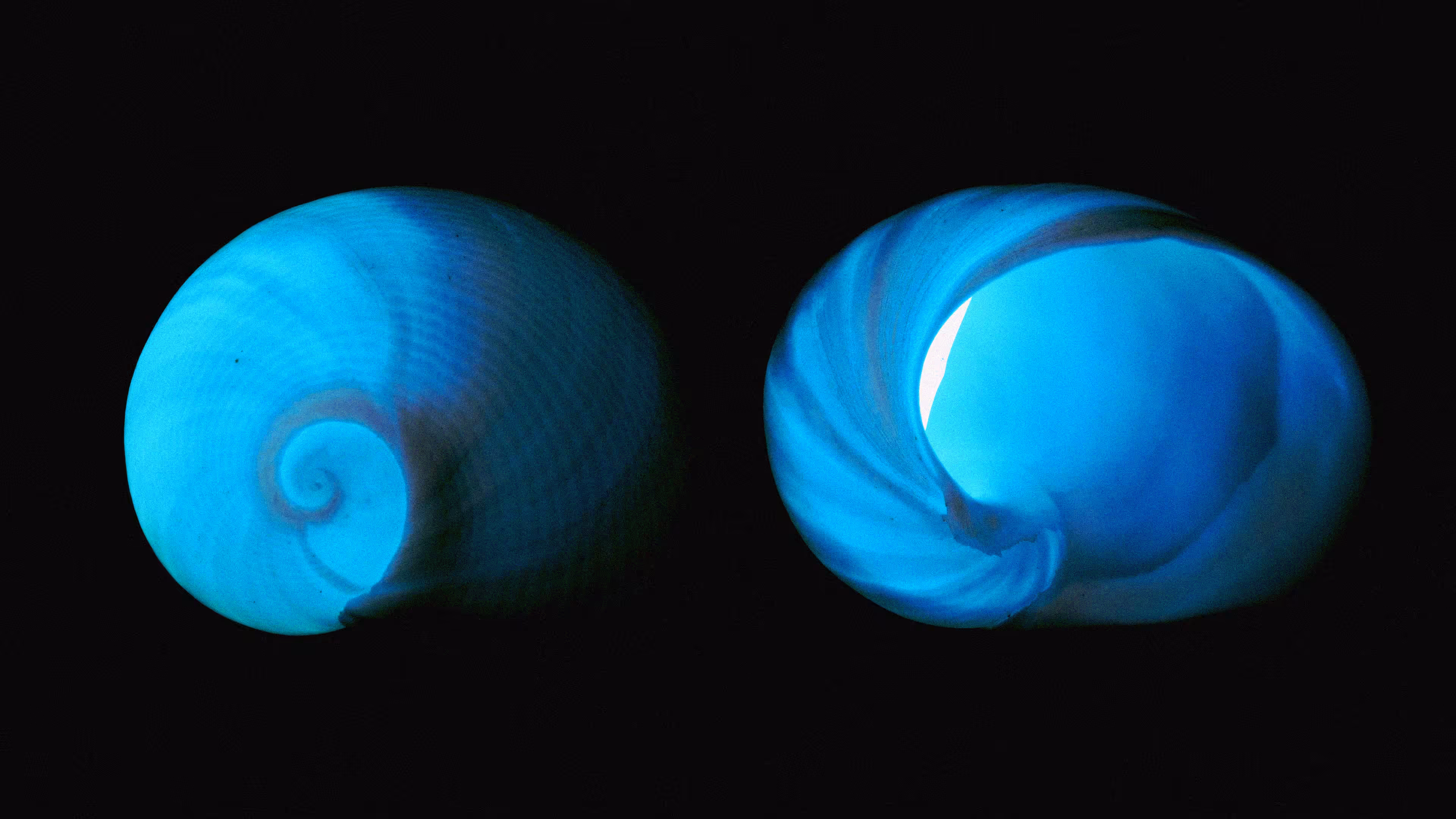 🌀🌀🌀