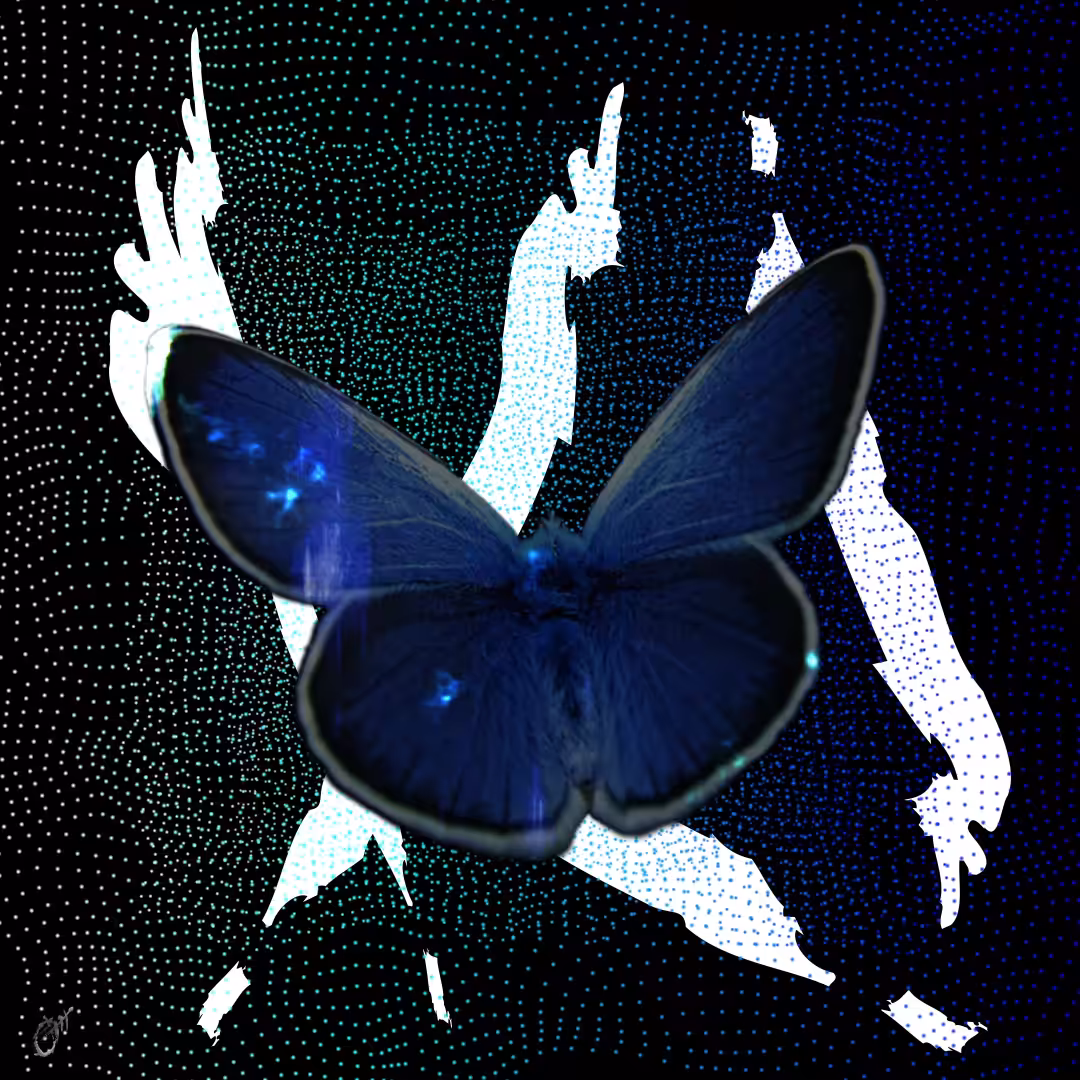 Blue butterfly
