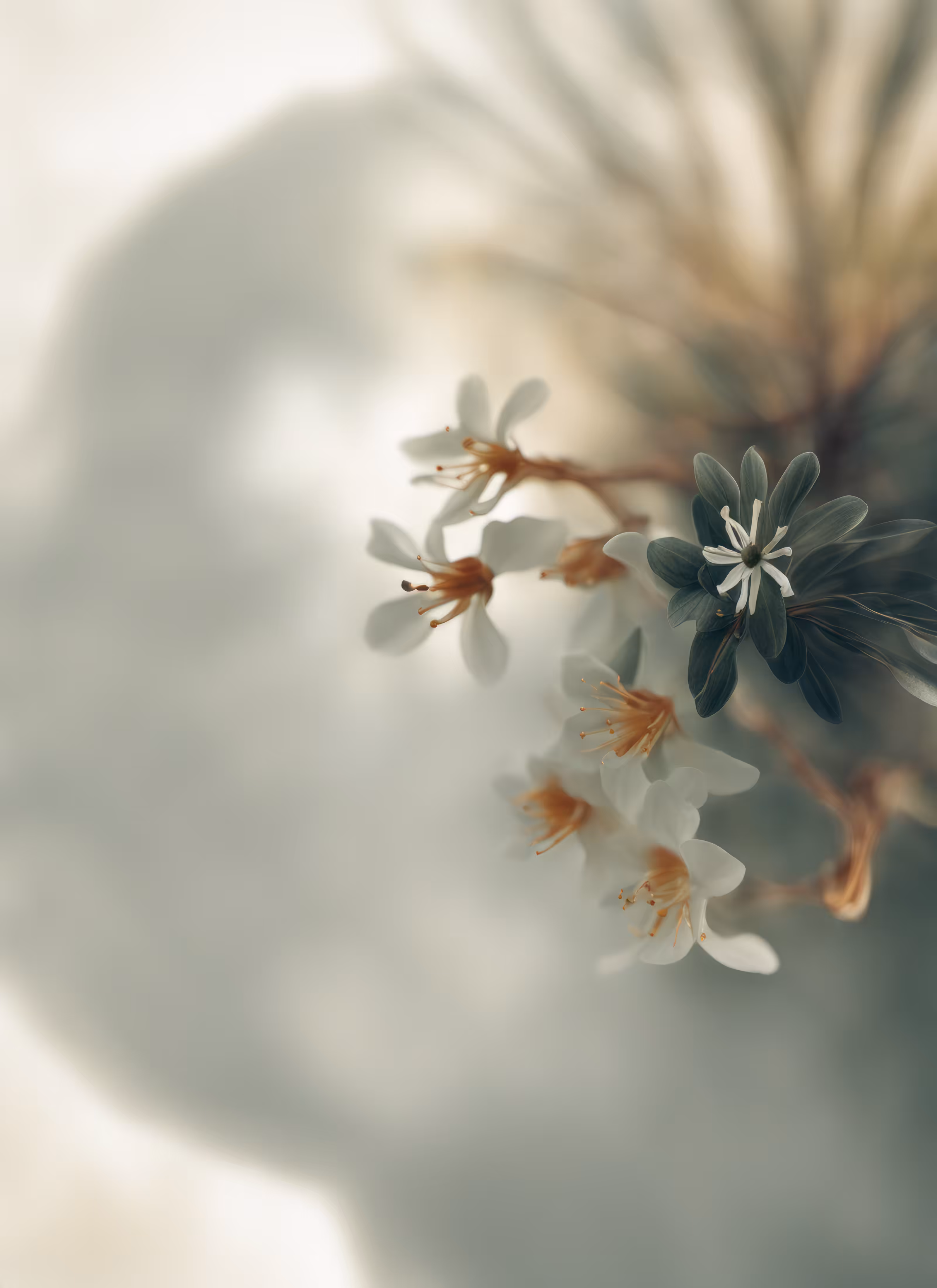 Blur Fleurs :: Merge #9