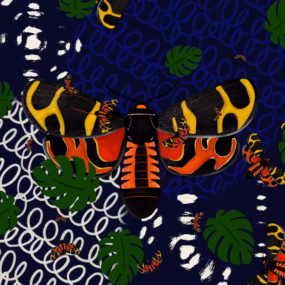 Chelonia