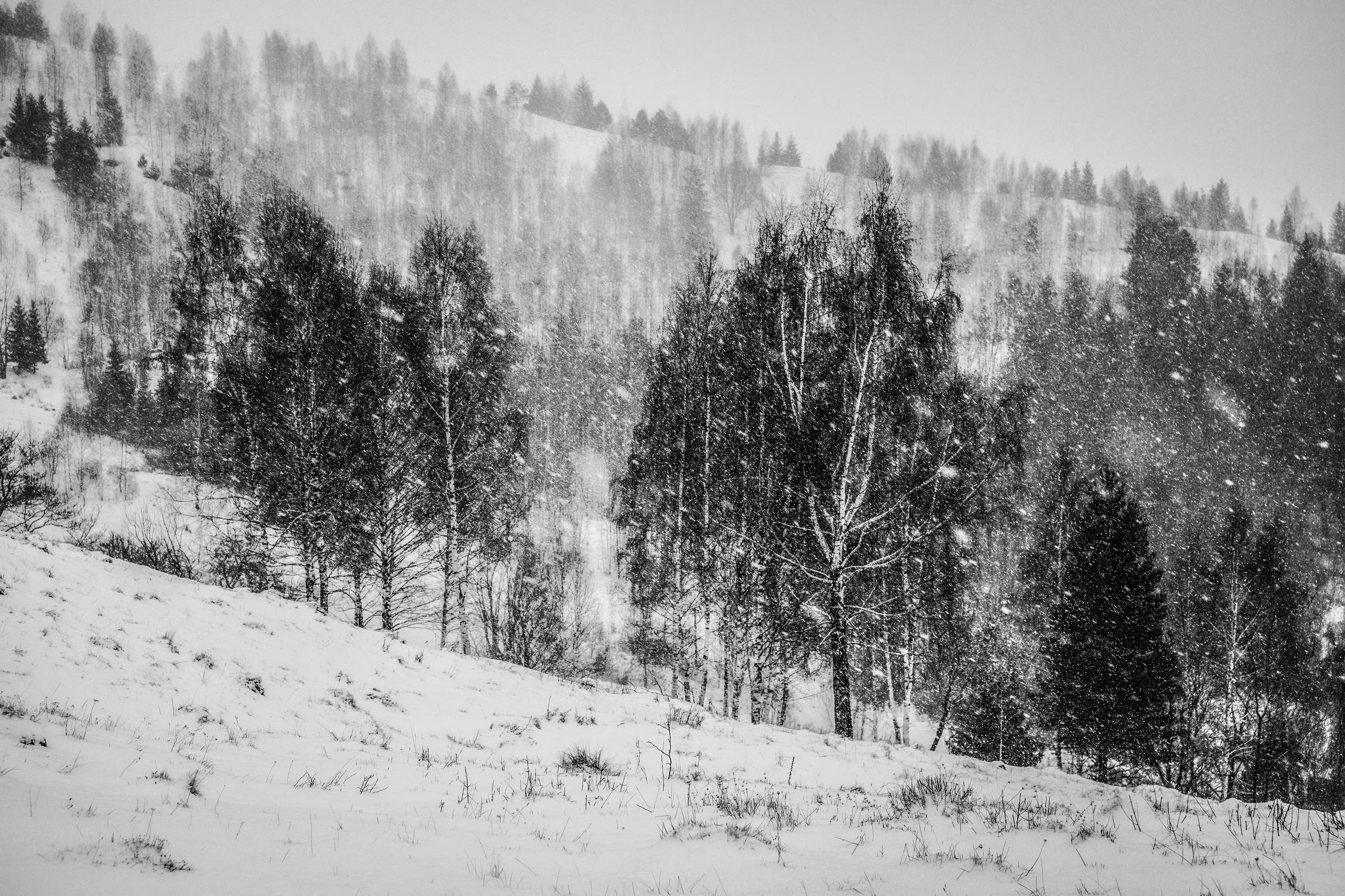 snowfall