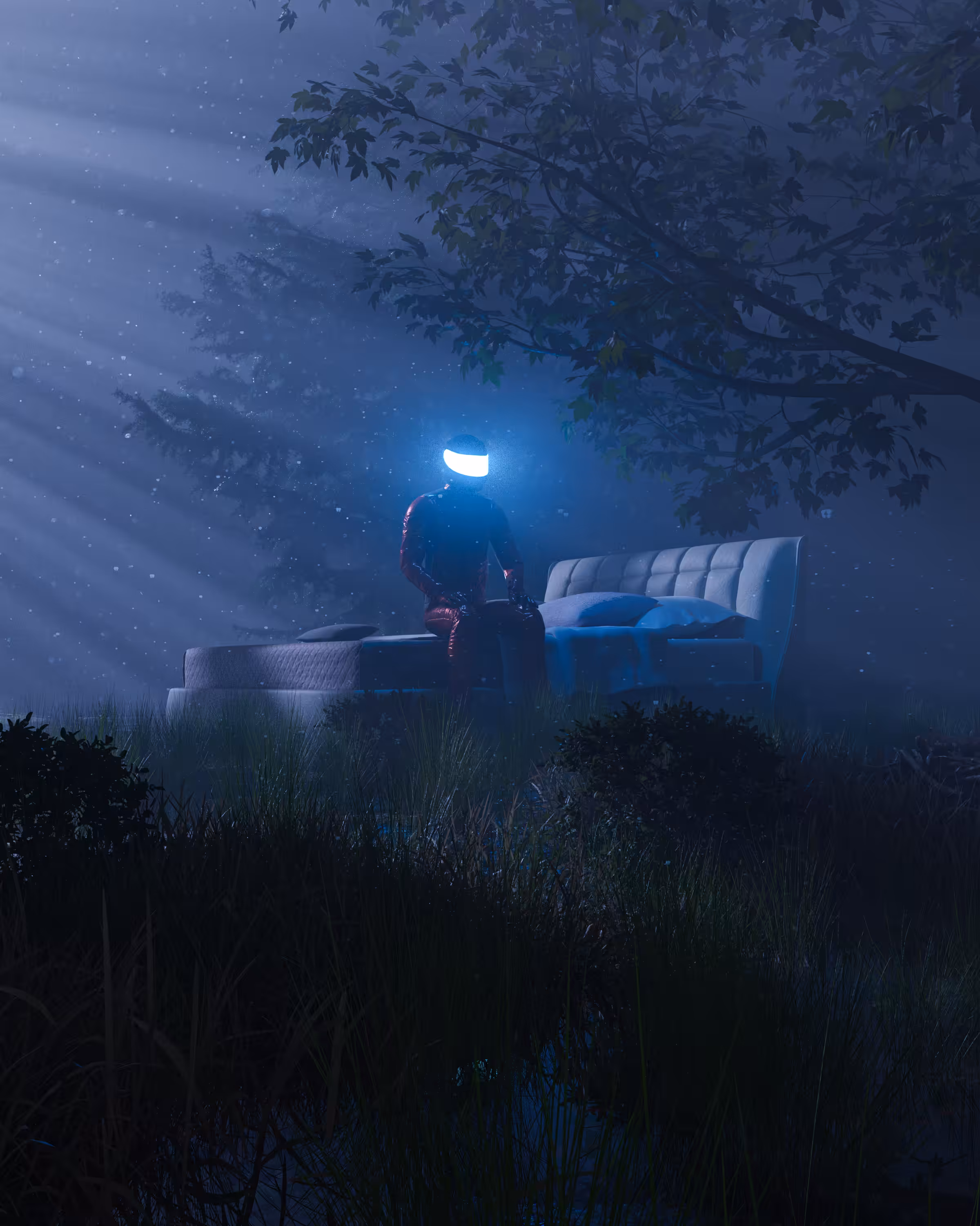 Cozy Wilderness