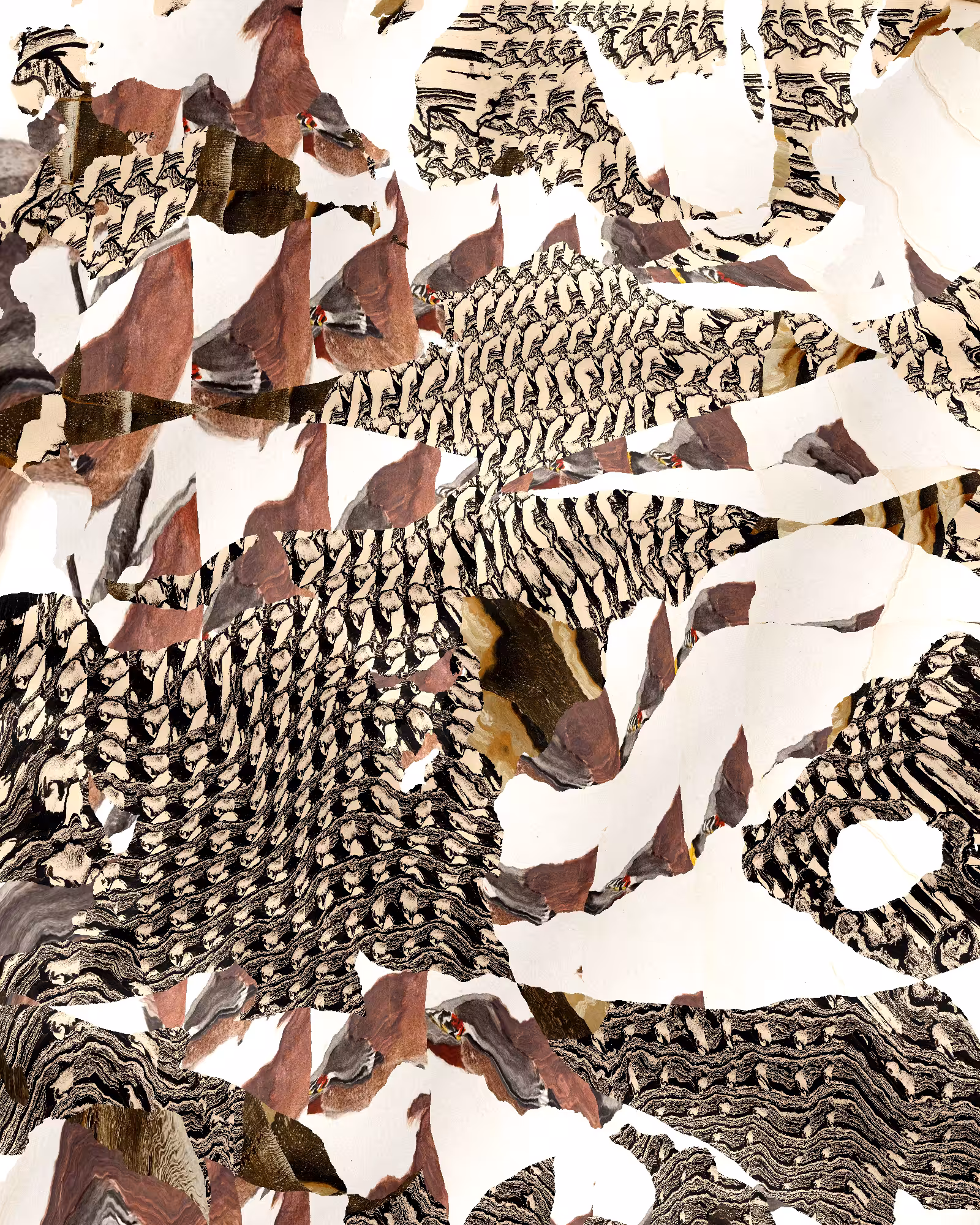 Repetition and Noise #325