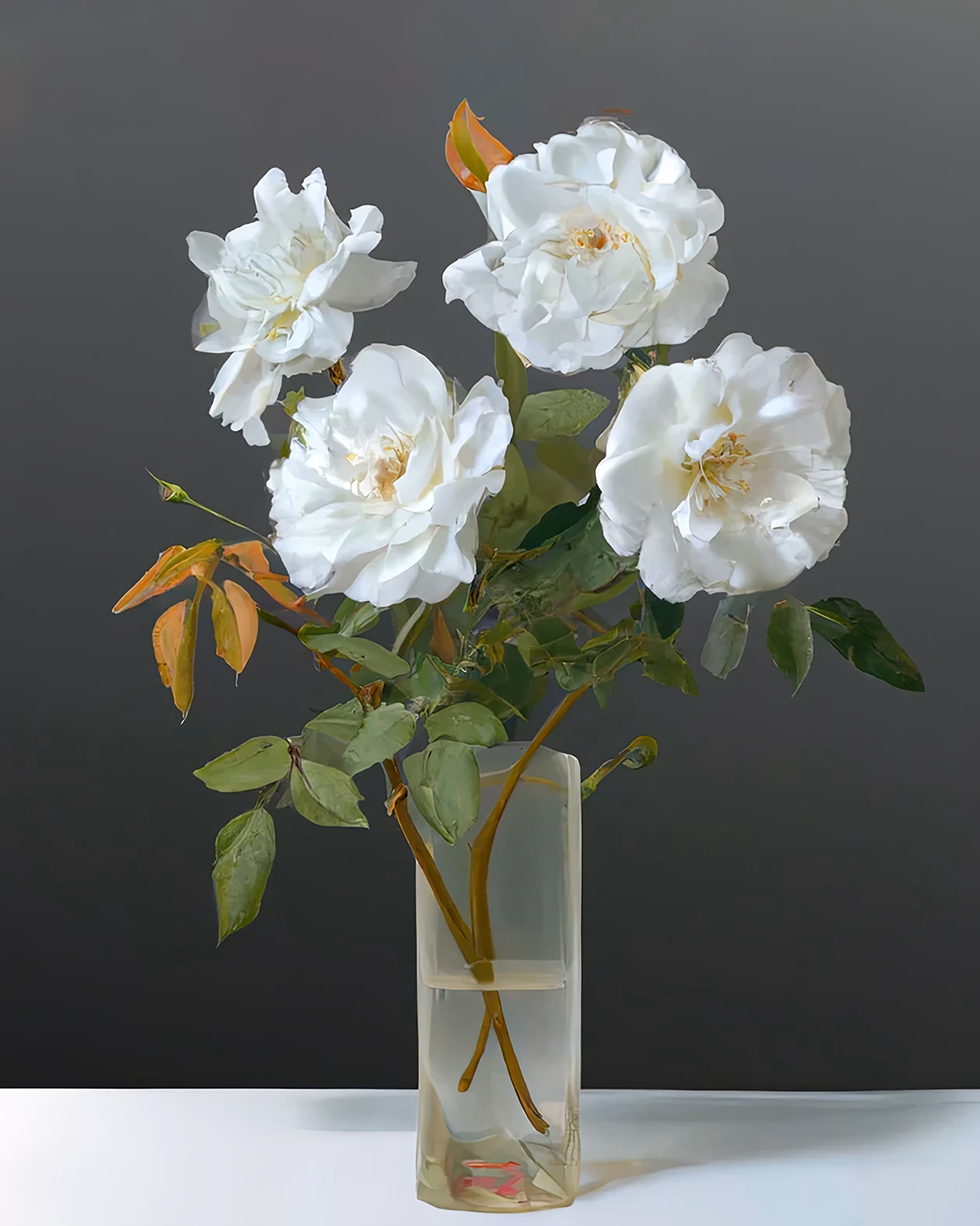 Nature Morte de Roses Blanches