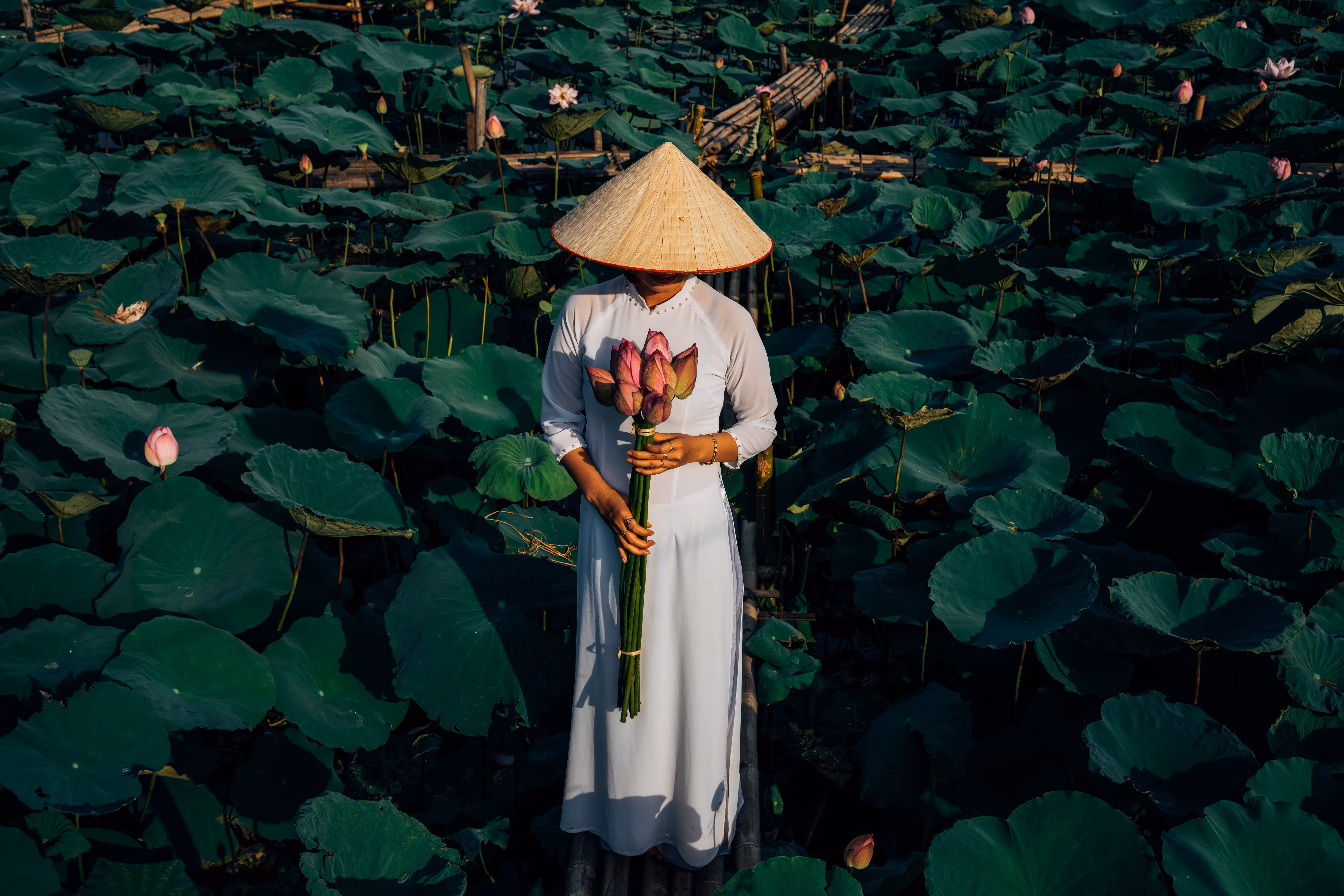 Being Lotus