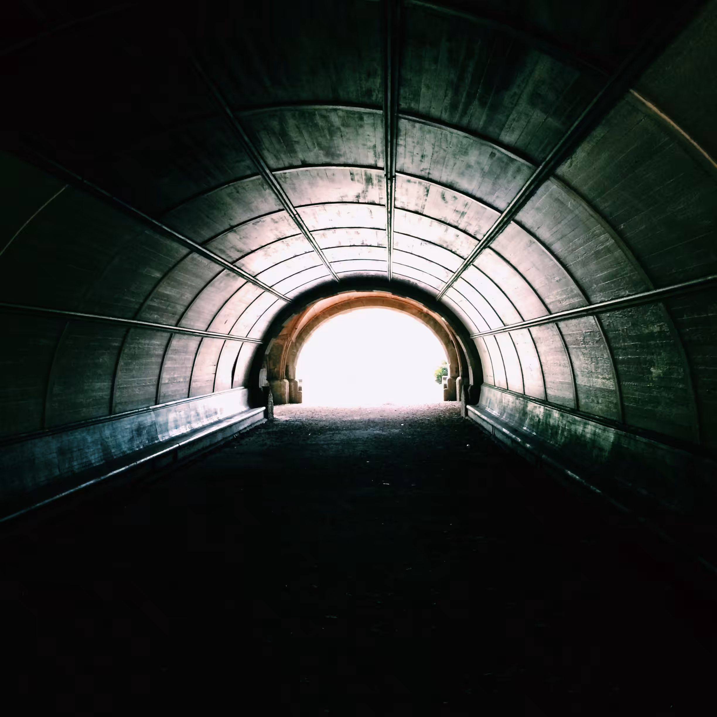 The Light