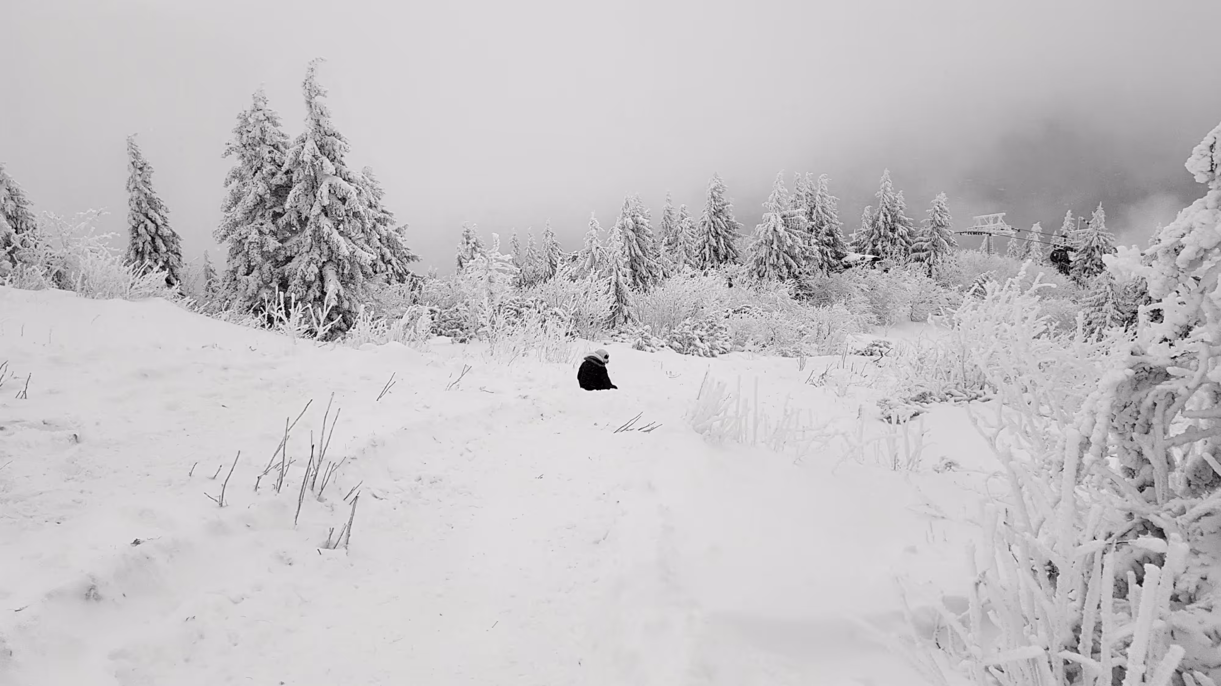 memories of a snowman
