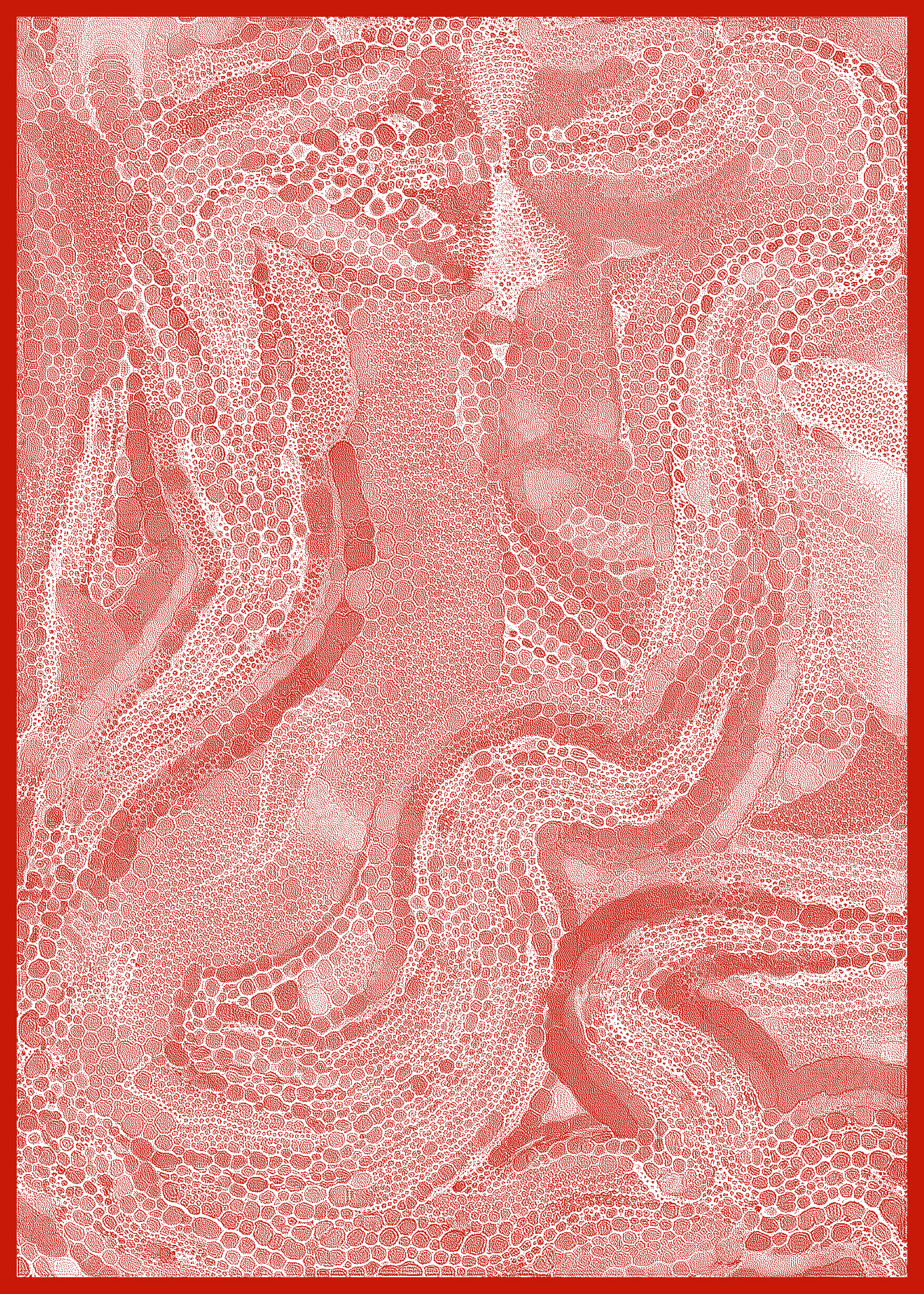 Matter _ RED