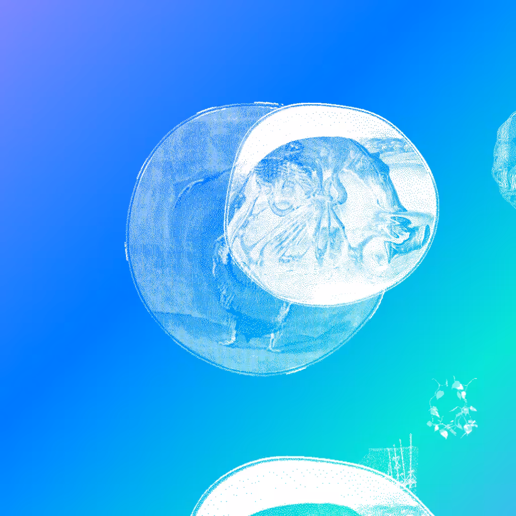 World is Turning Tokenized #64