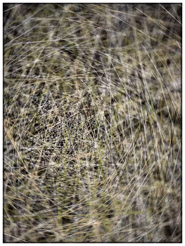 Haystack in a Needle #41