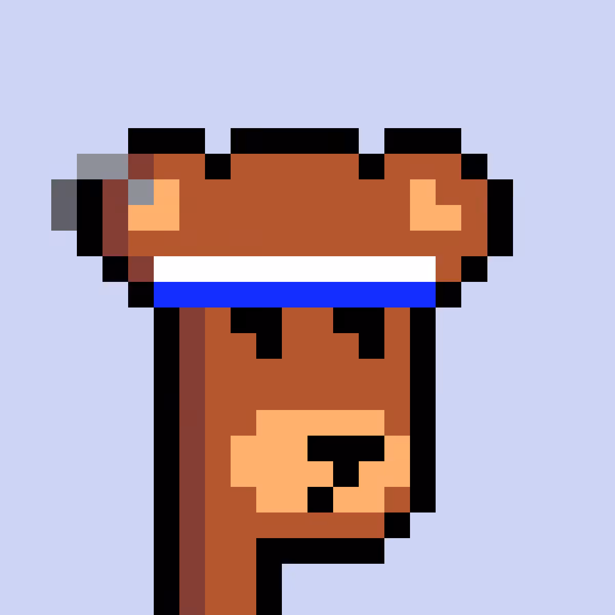 BearPunks #3382