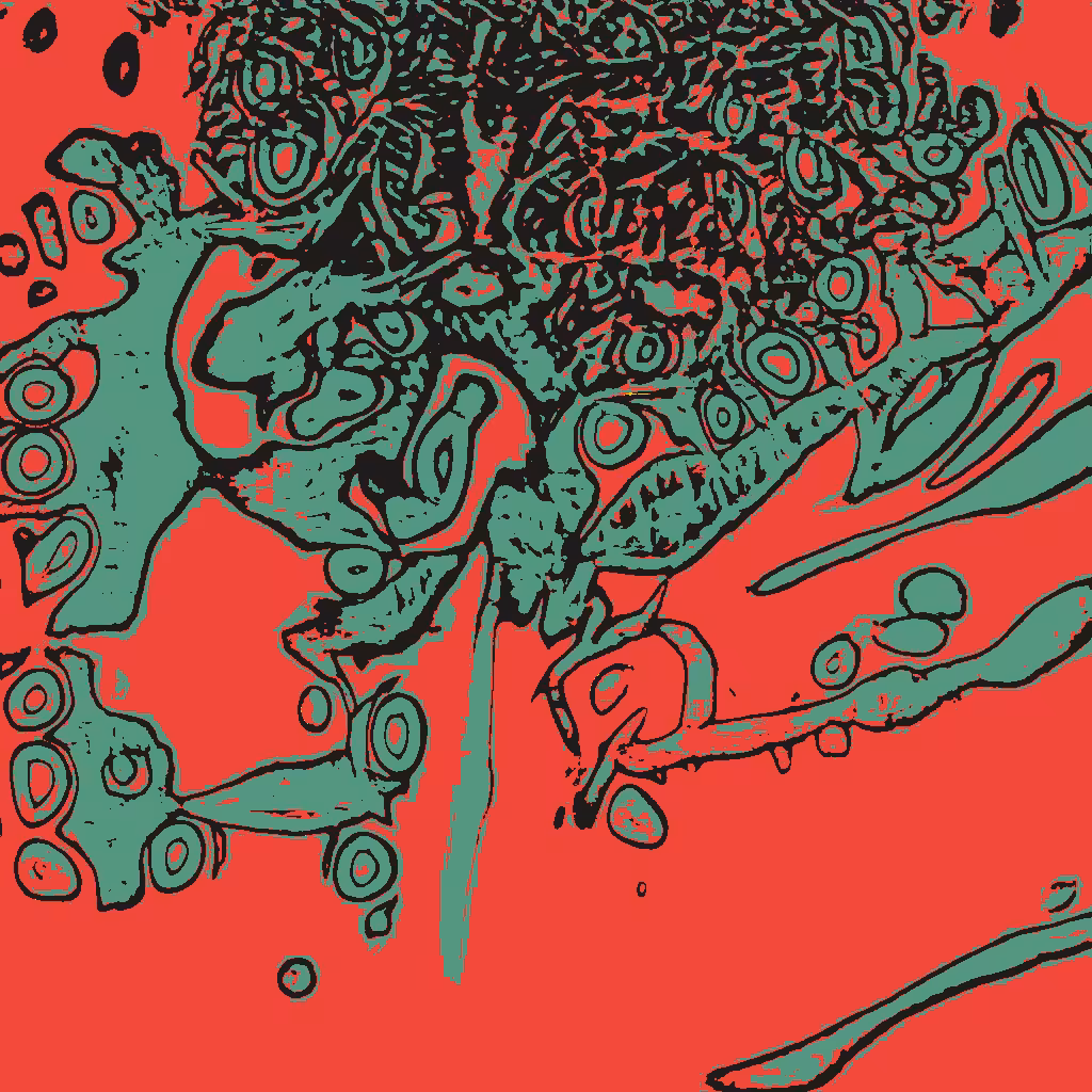 Confluence #343