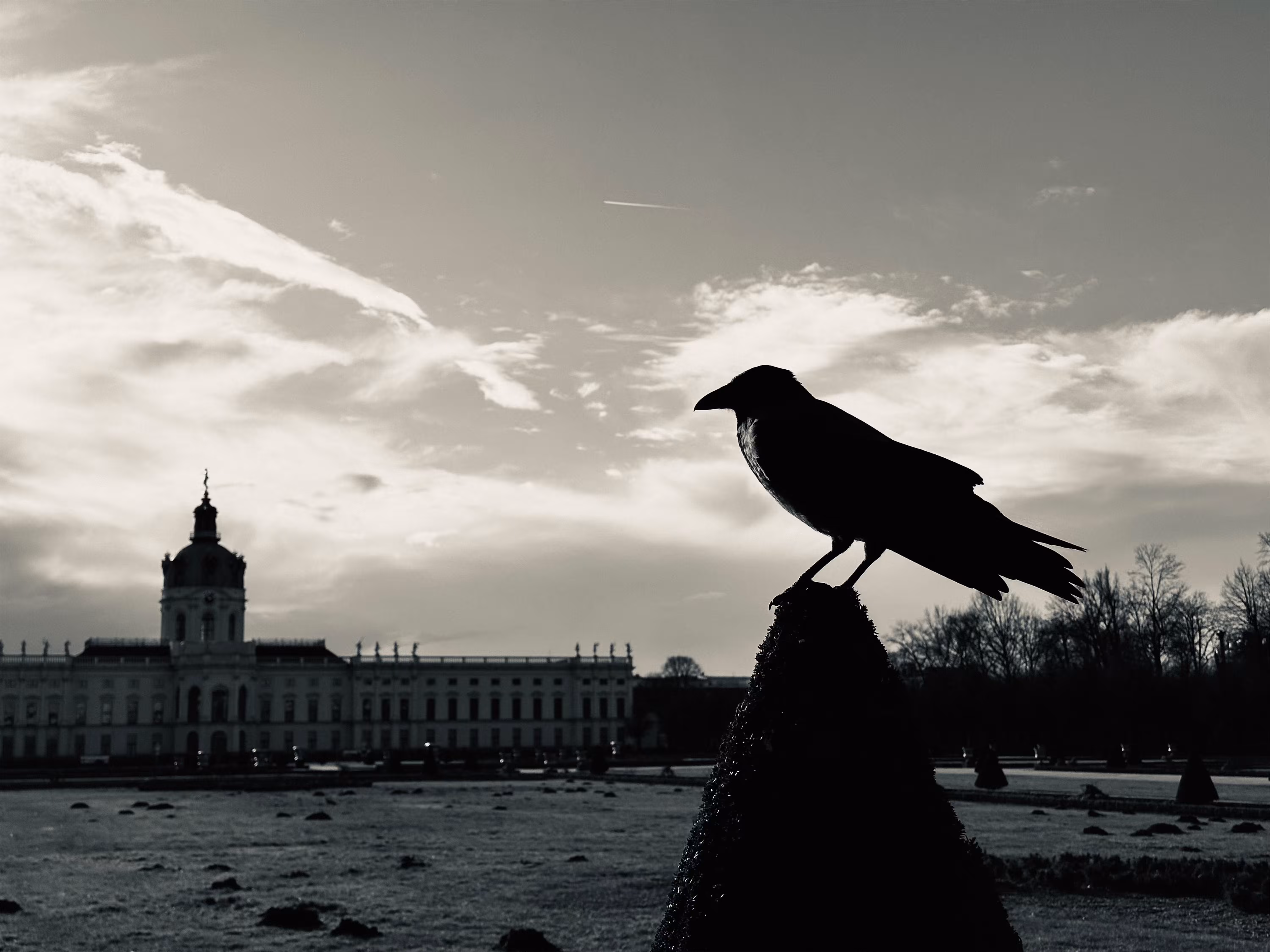 The Dawn