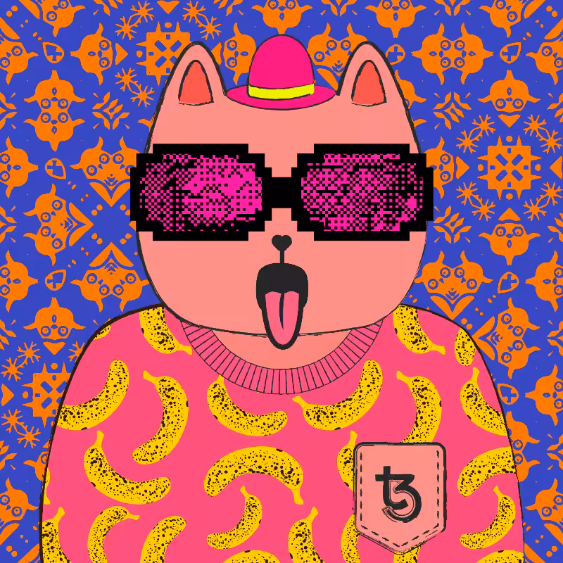 hash cats – genesis #497