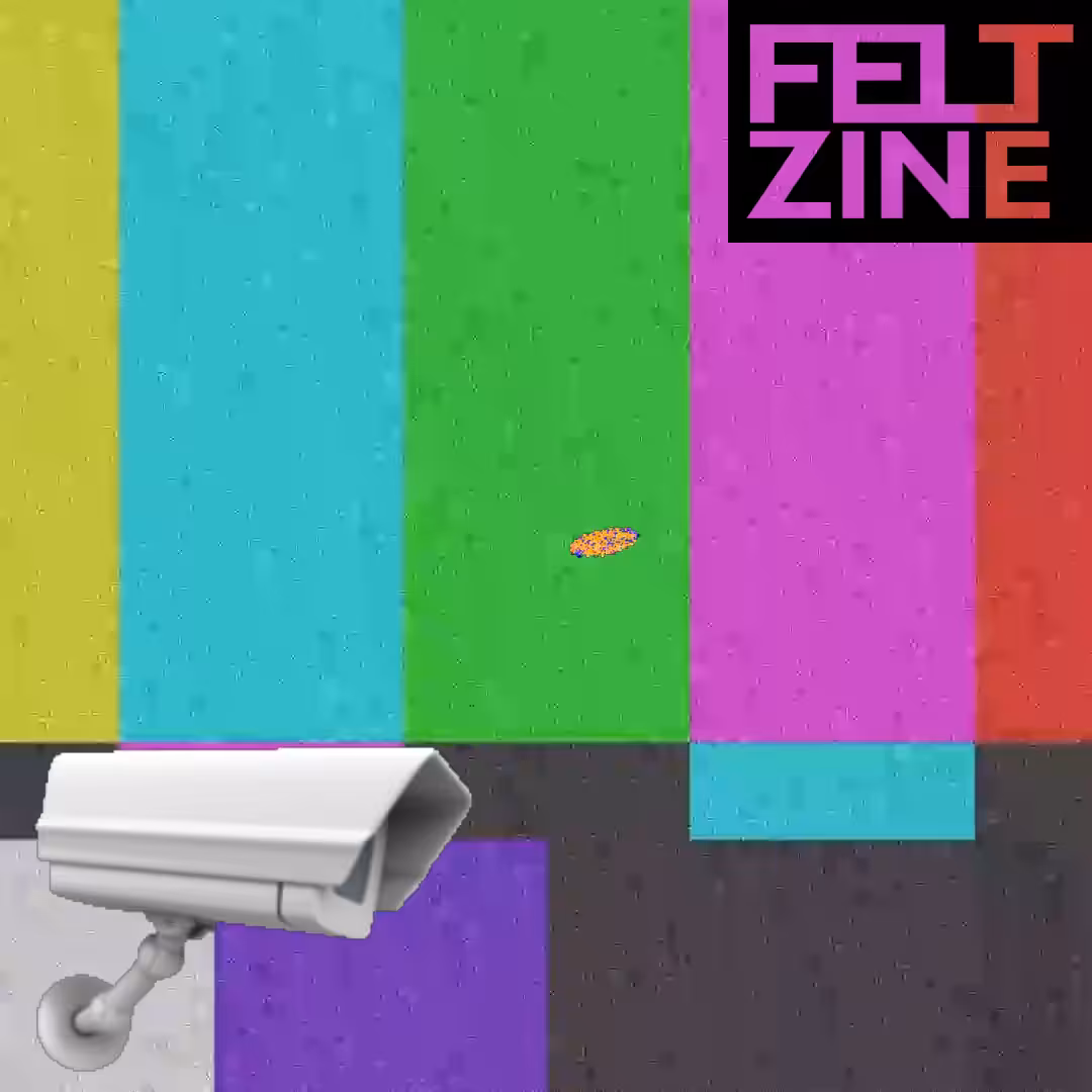 Canvas by Felt Zine: Canvas #296: censorship. — watching. — flowers. — black box logo. — bleep