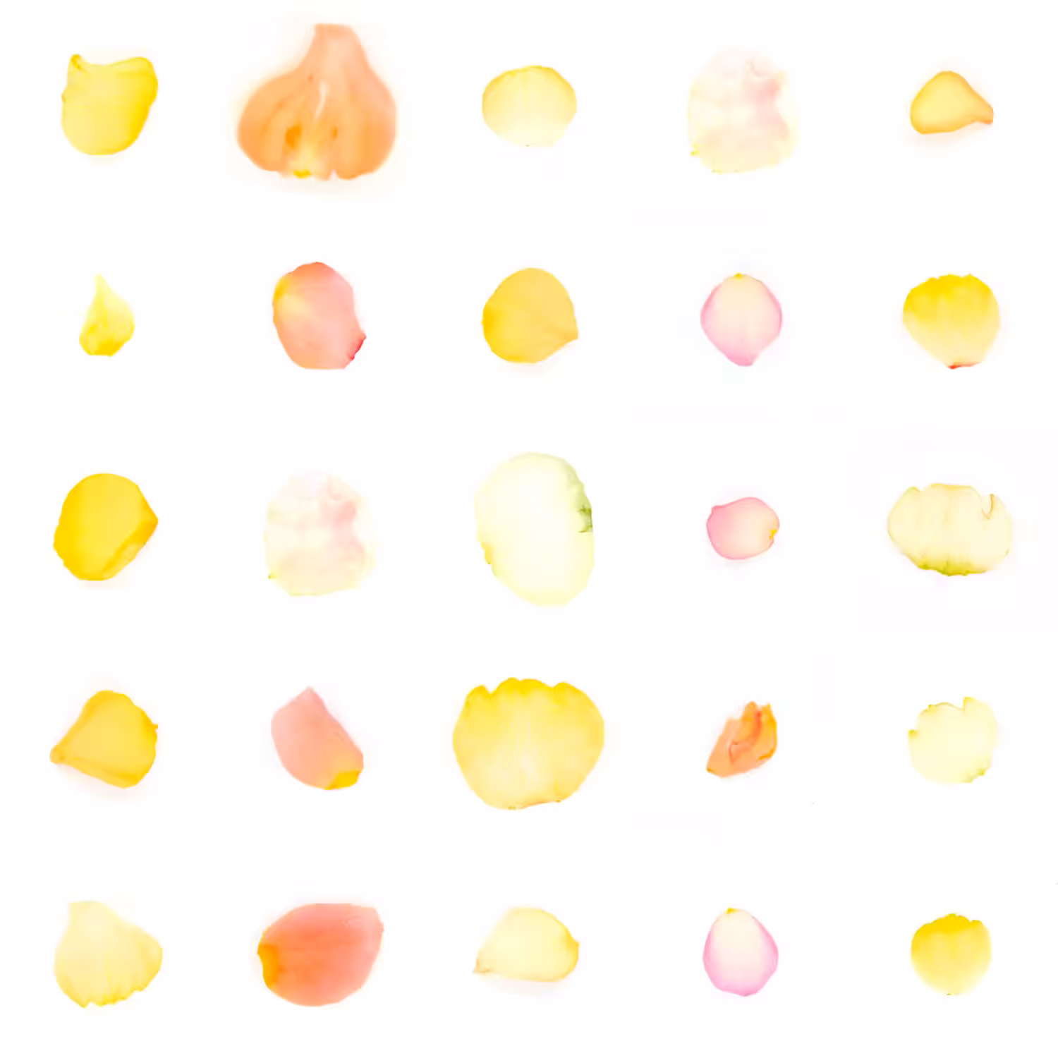 Infinite Petals 5x5#236
