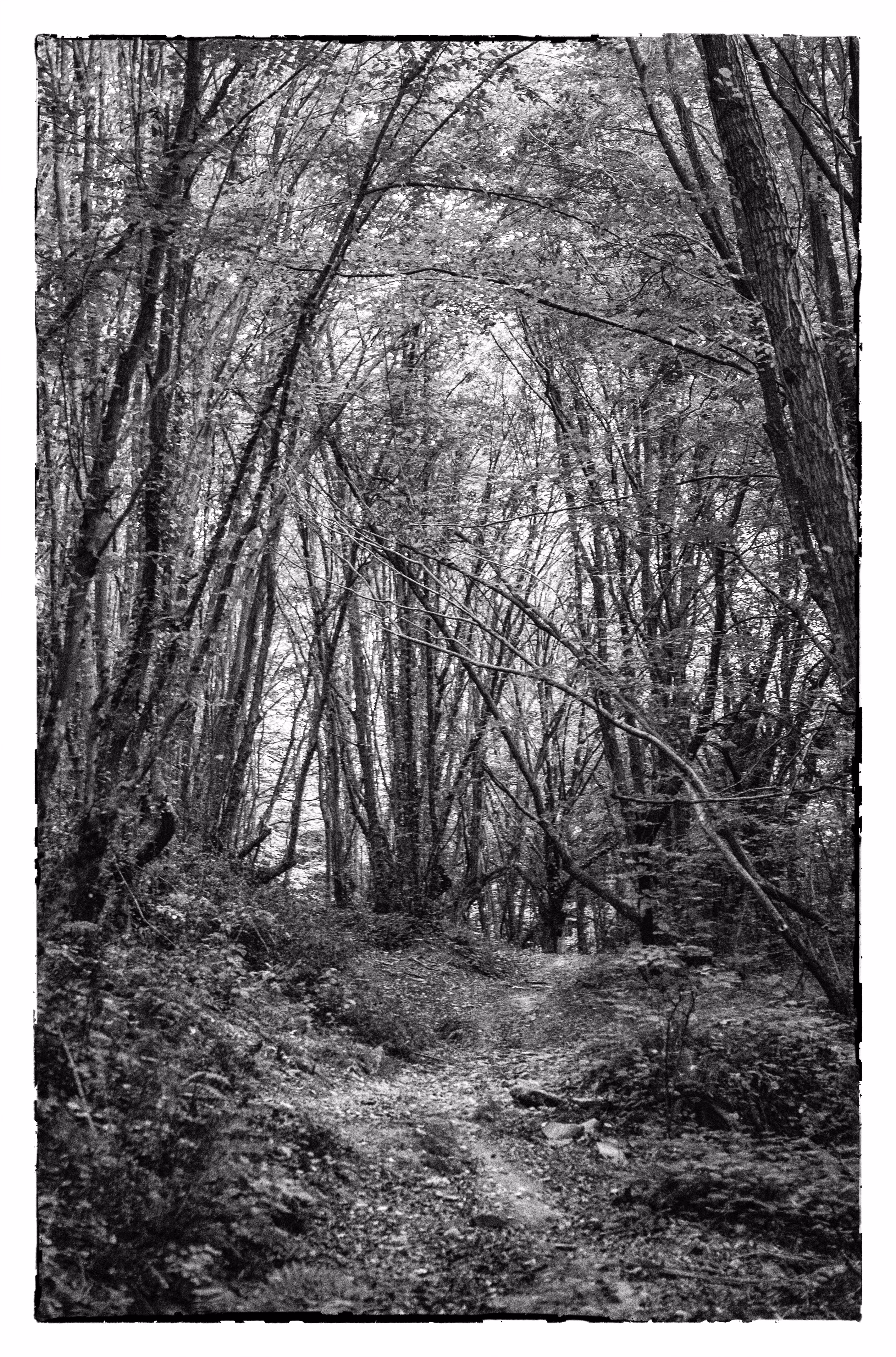 Monochrome Photography