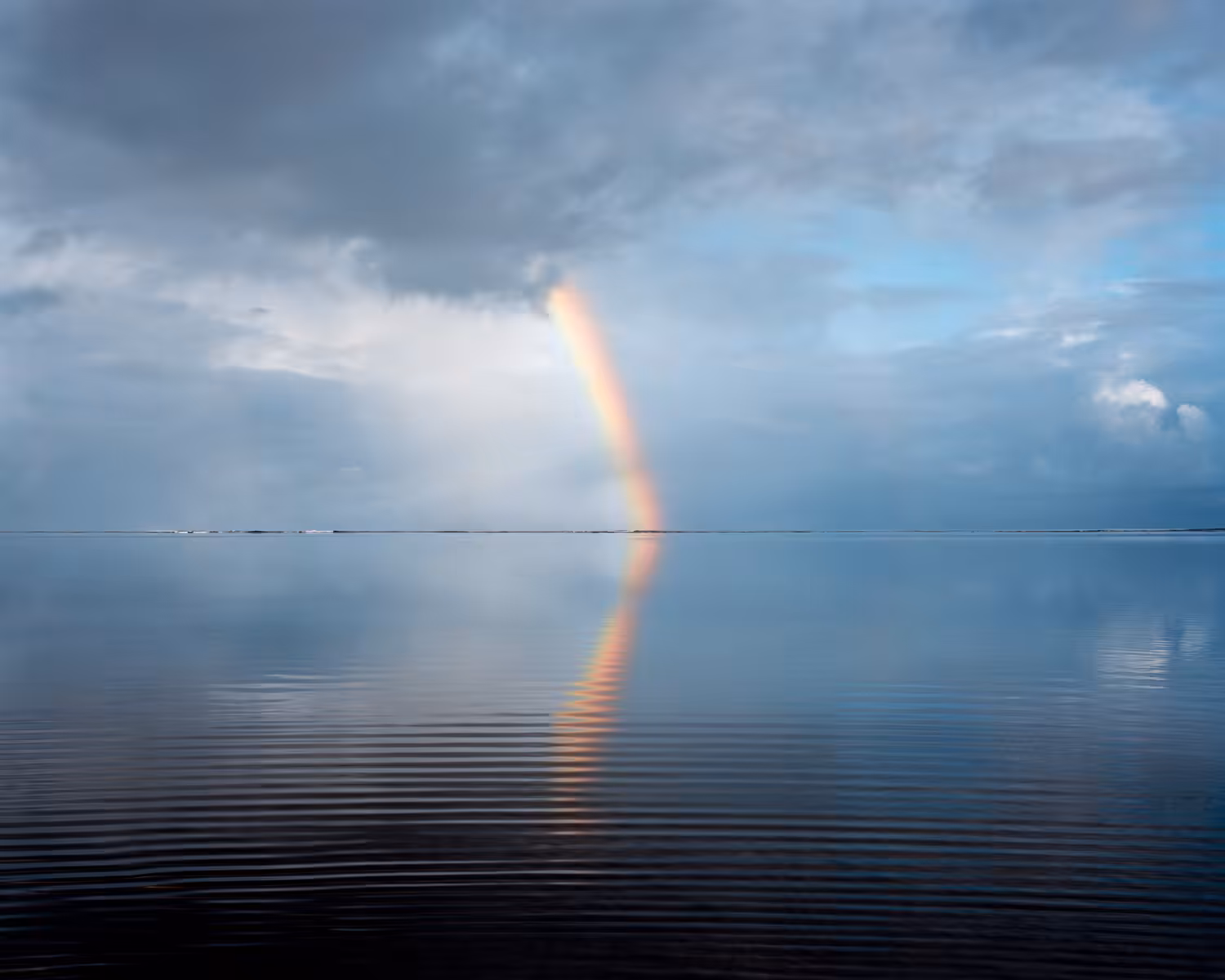 Island, 2011