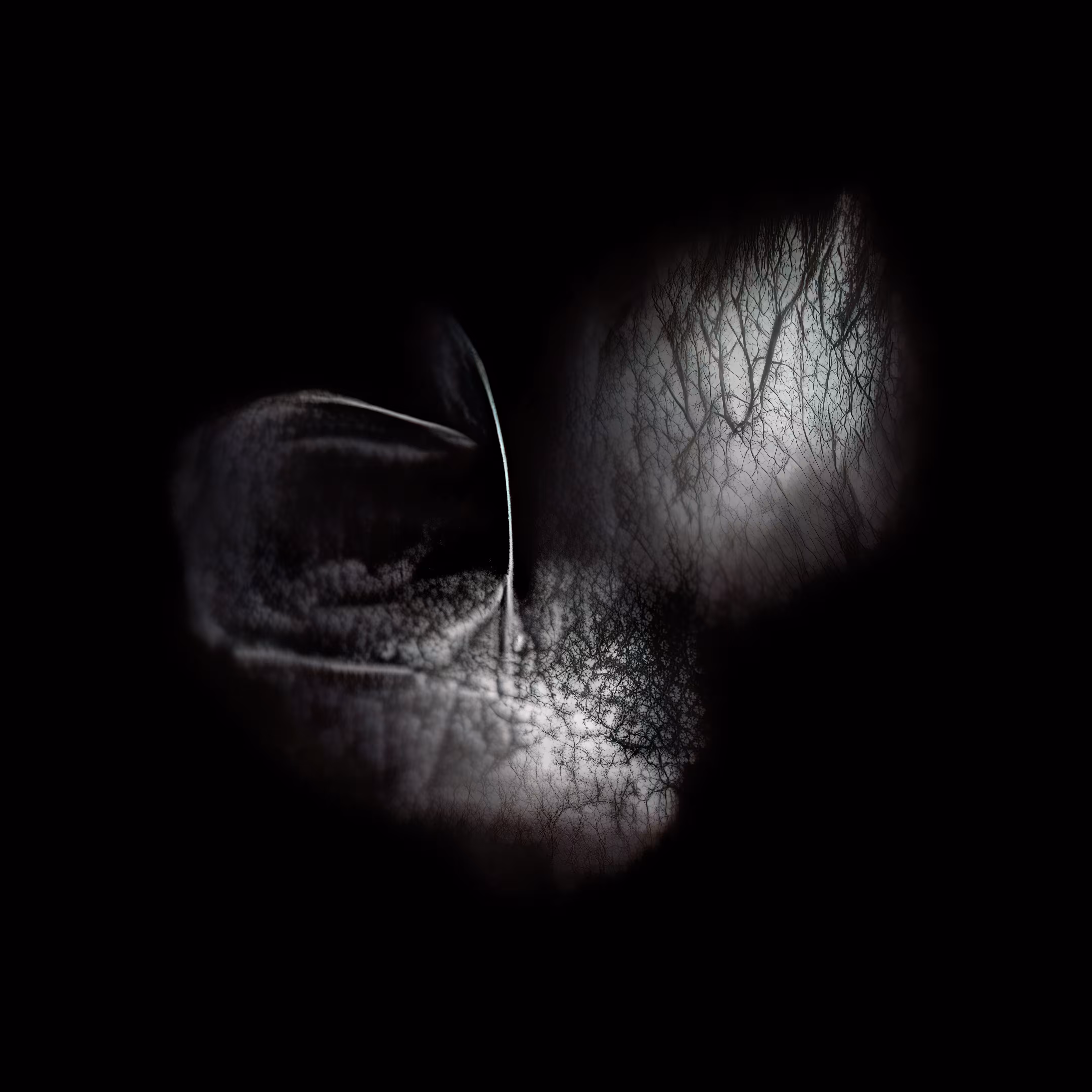 Recherché Remains #2