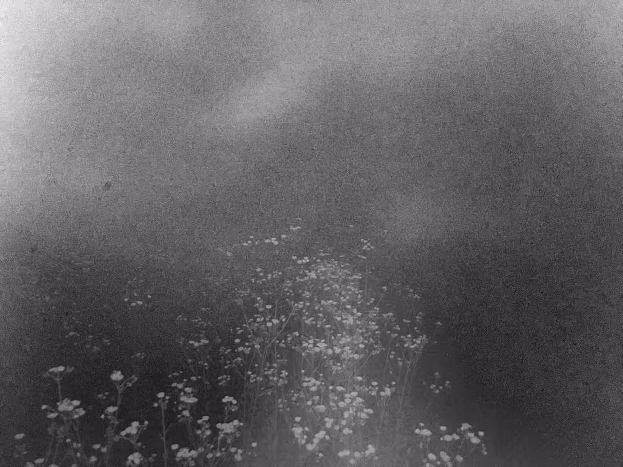 Haze emulsion