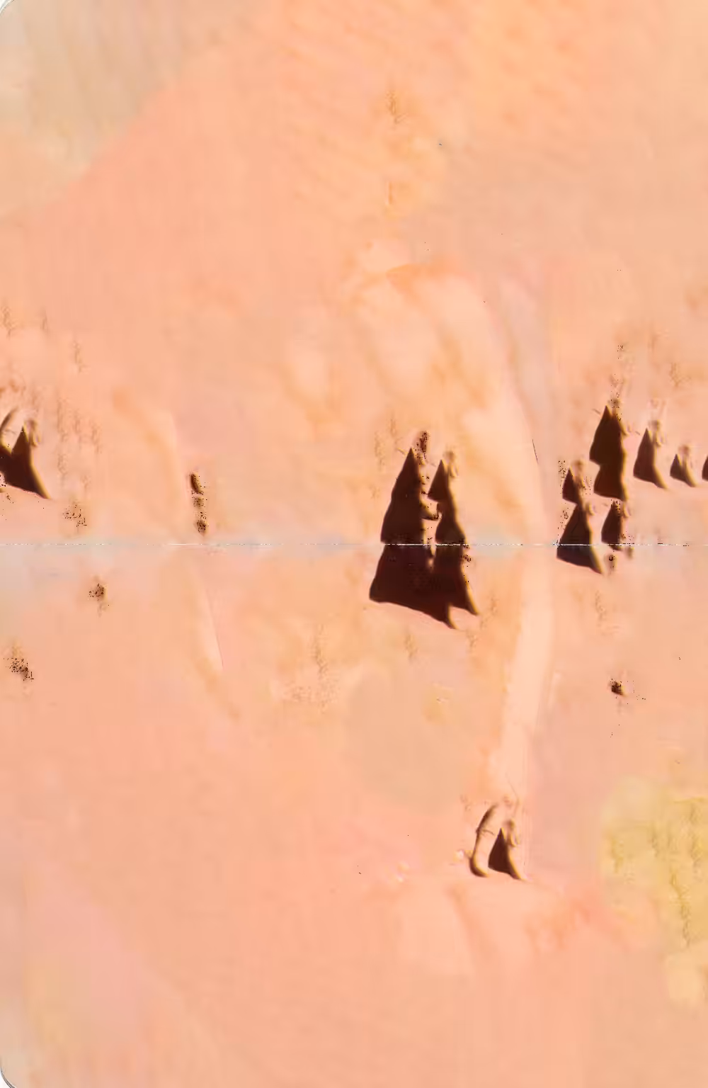 GSYNW_022
