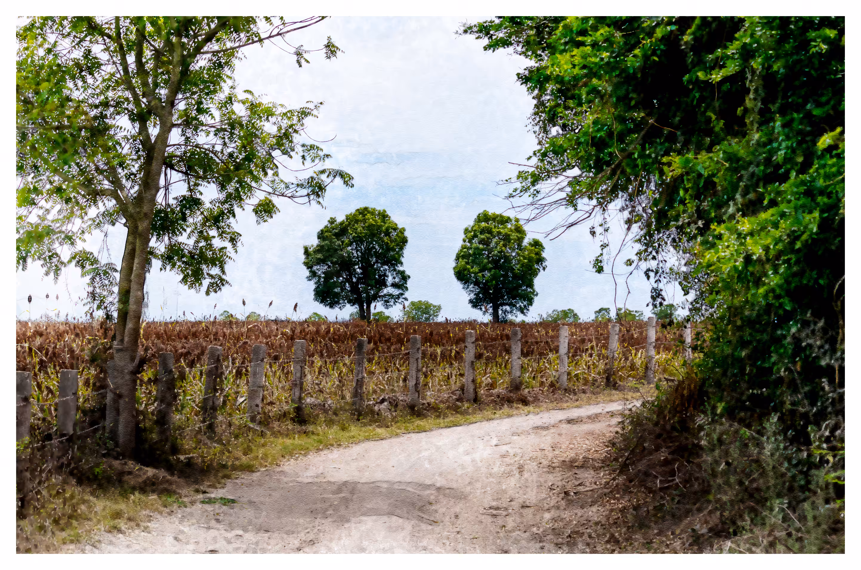 Countryside landscape