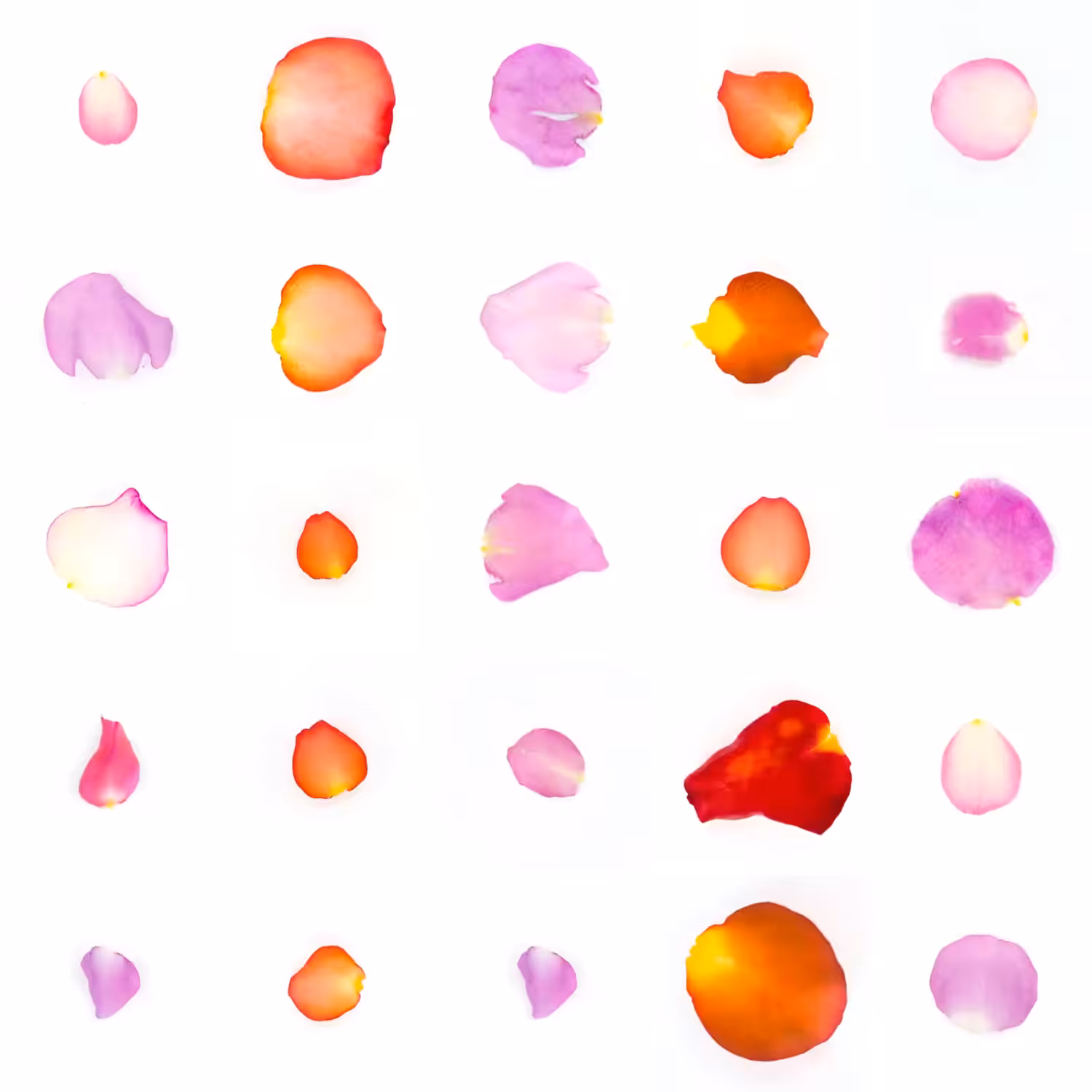 Infinite Petals 5x5#22093