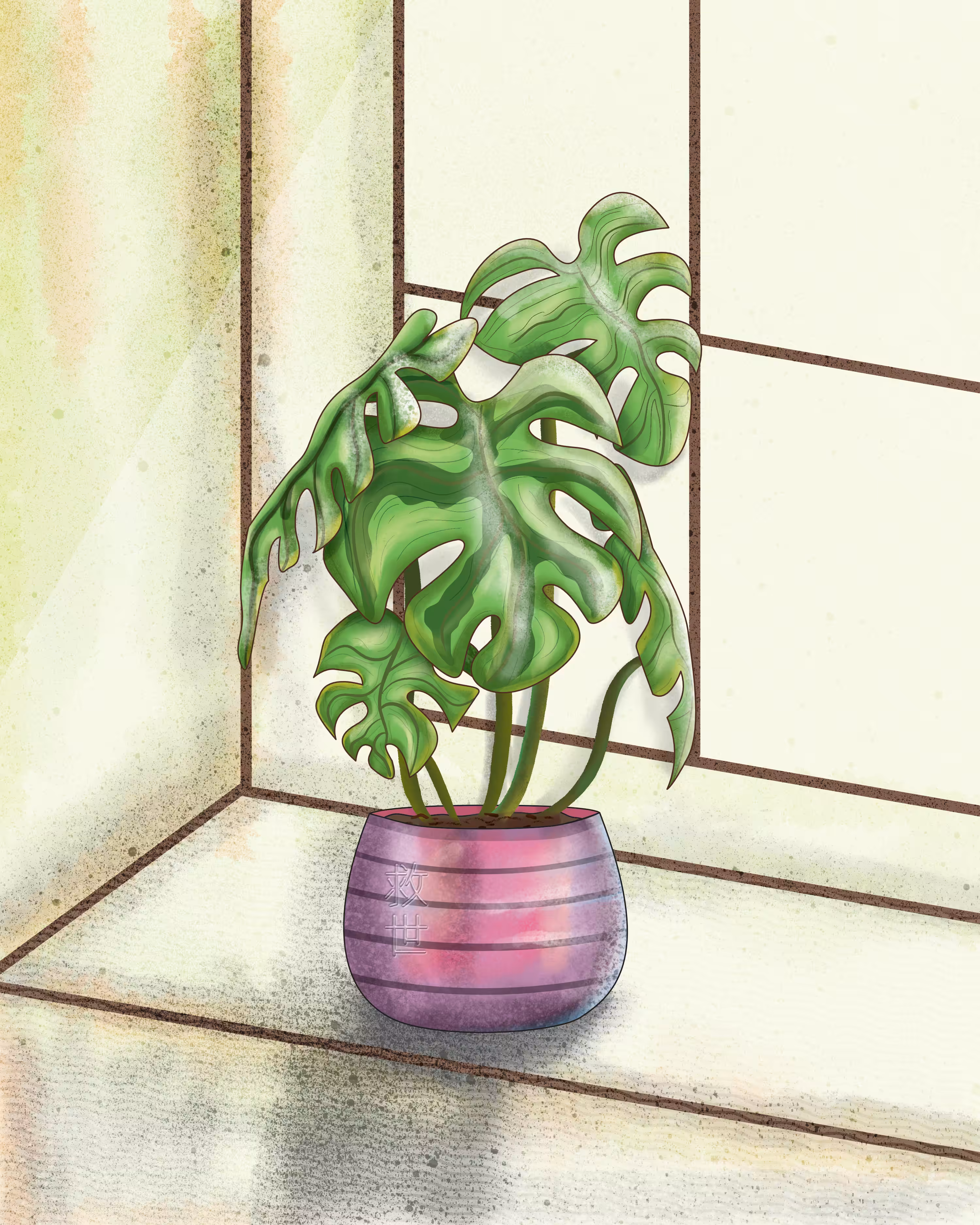 Monstera Plant