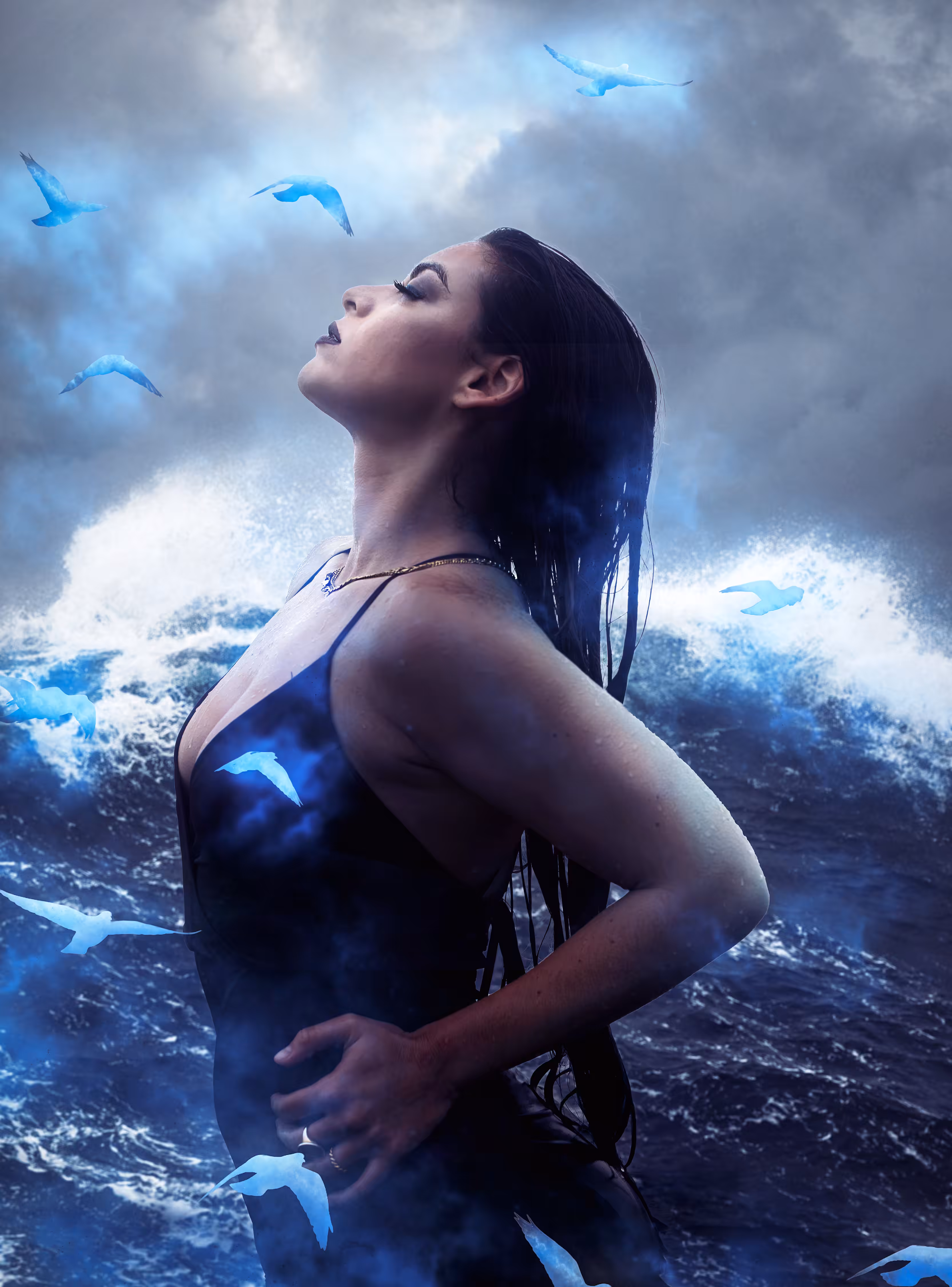 Birds are Blue 3